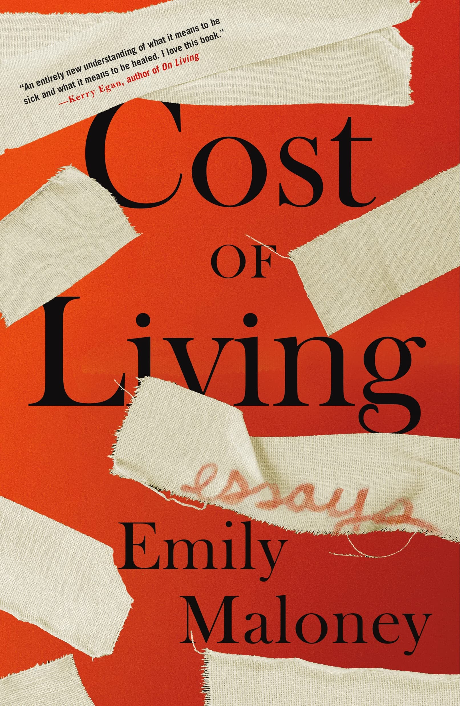 Cost of Living: Essays Politics & Society