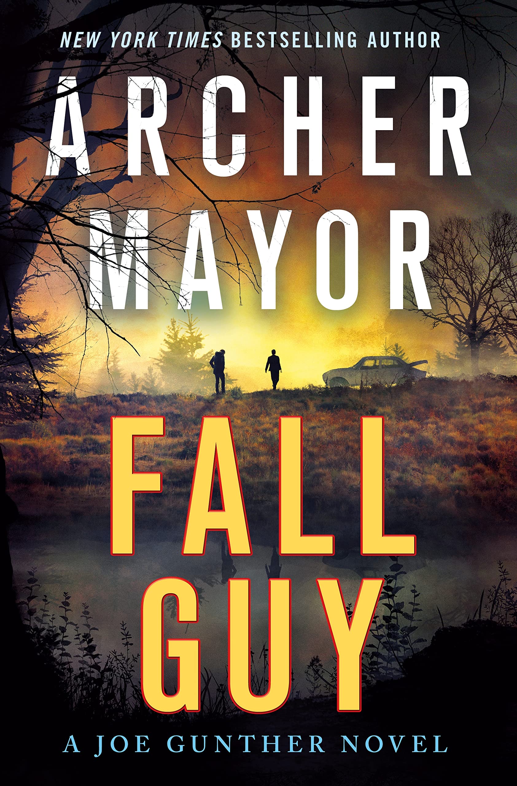 Fall Guy: A Joe Gunther Novel (Joe Gunther, 33) Detective & CSI