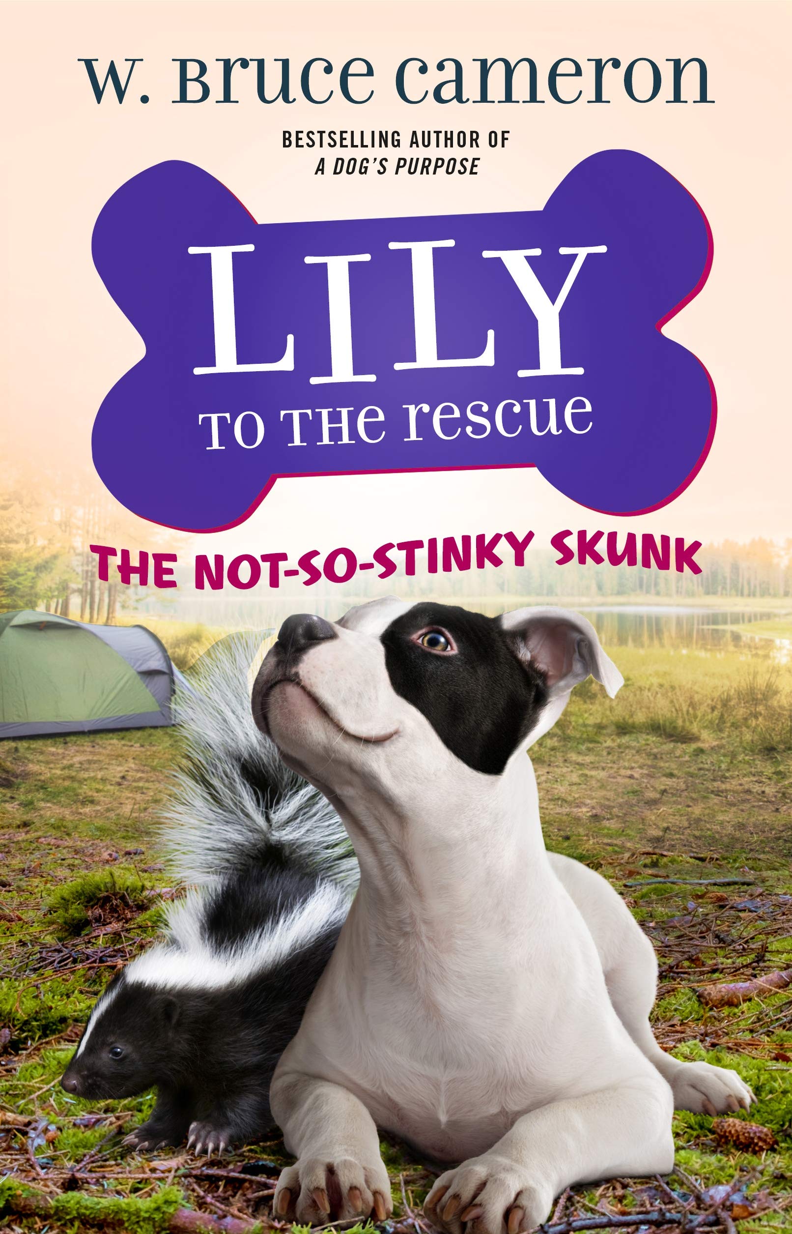 Lily to the Rescue: The Not-So-Stinky Skunk Novels & Short Stories