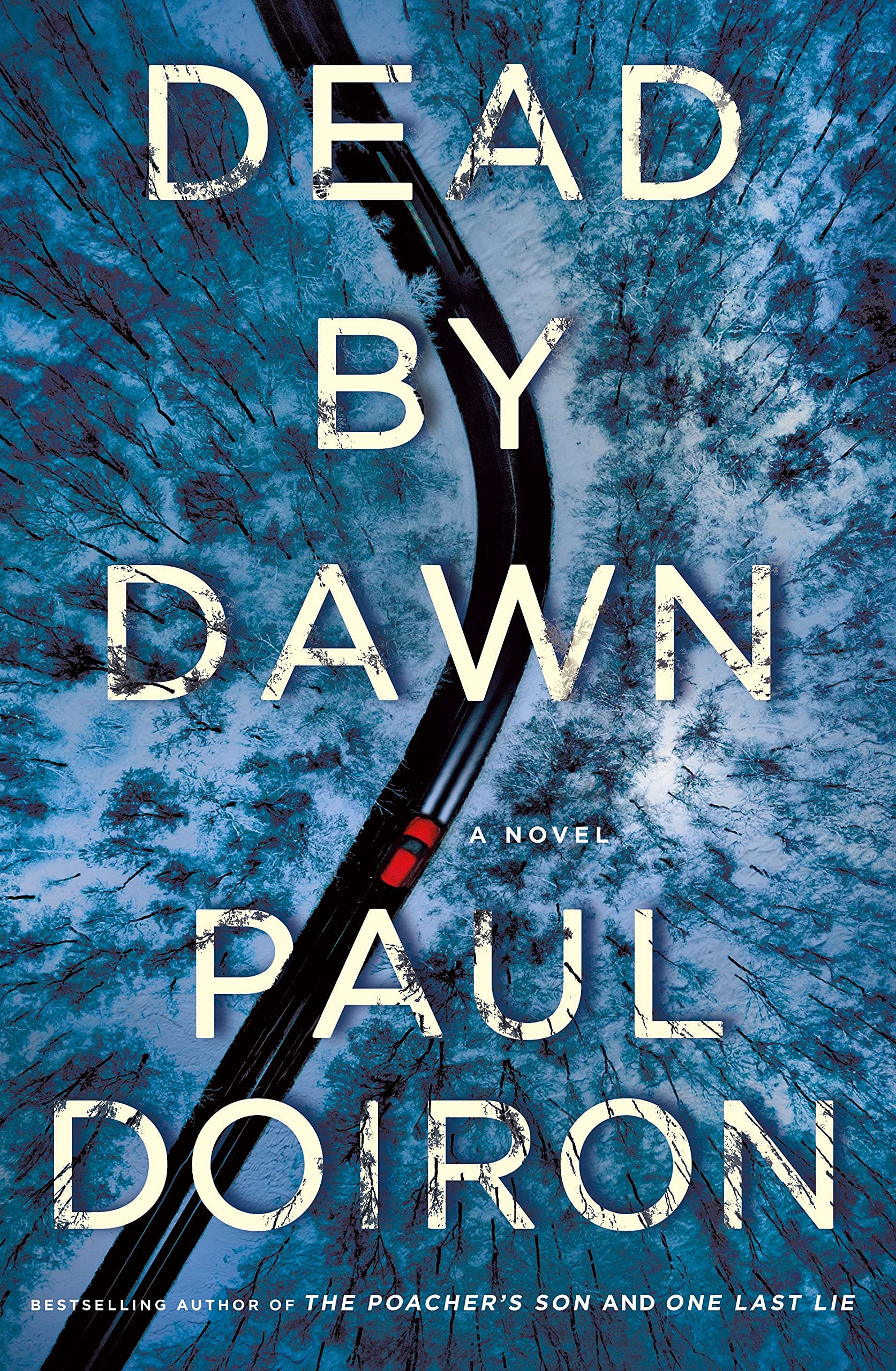 Dead by Dawn: A Novel (Mike Bowditch Mysteries, 12, Band 12) Contemporary literature