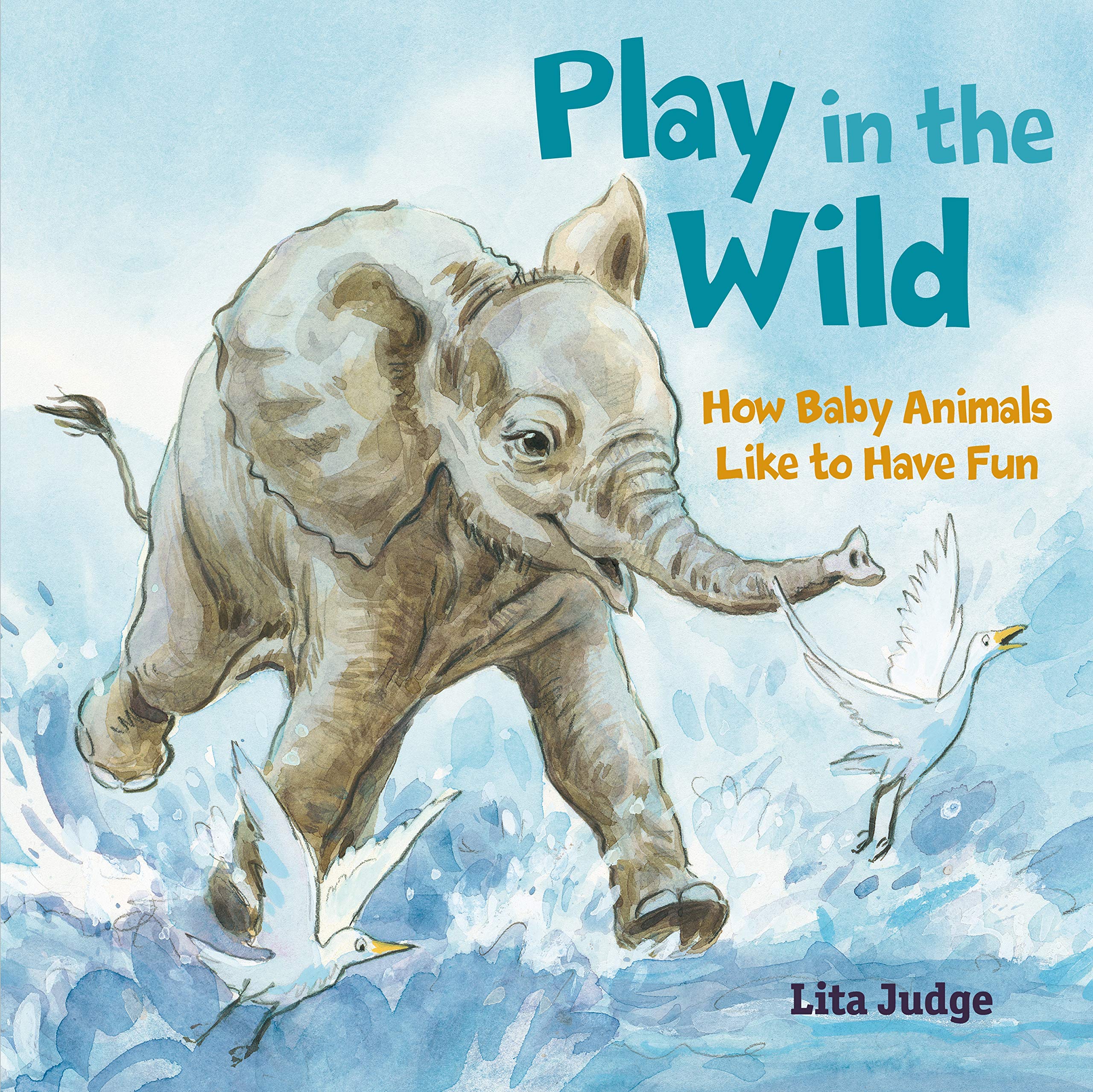 Play in the Wild: How Baby Animals Like to Have Fun (In the Wild, 3) Parents & Children