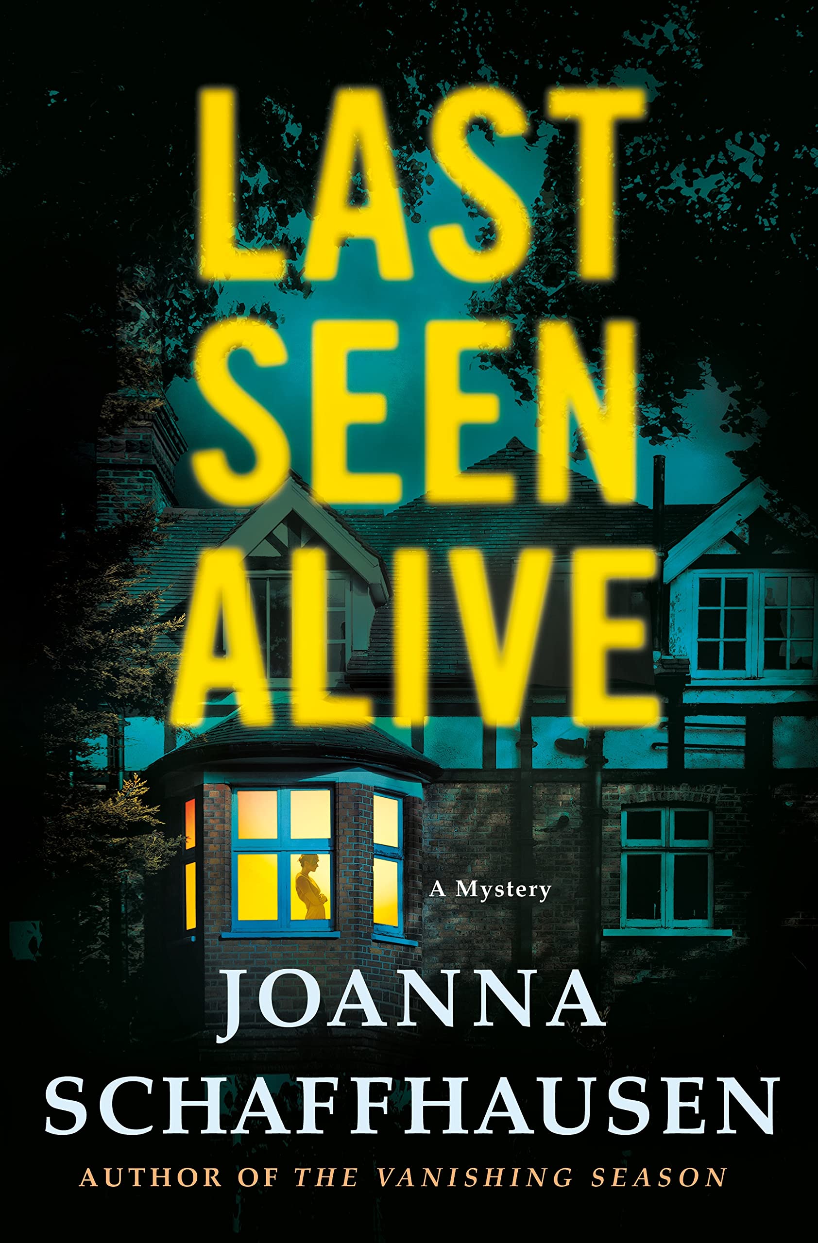 Last Seen Alive: A Mystery (Ellery Hathaway, 5) Detective & CSI