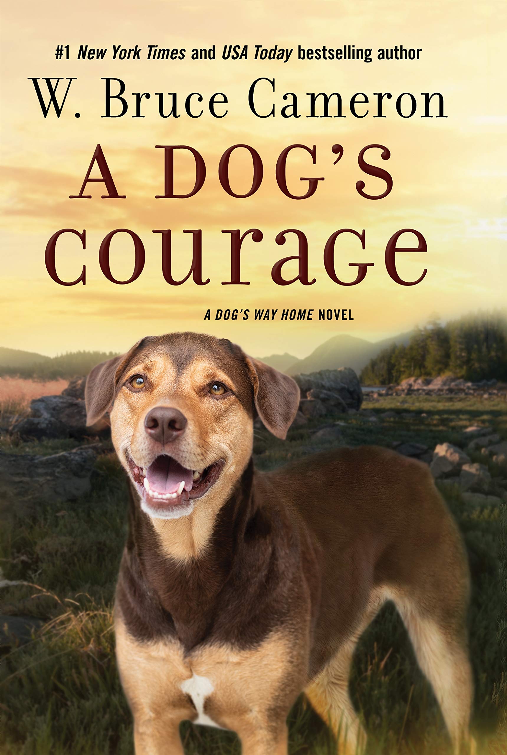 A Dog's Courage (A Dog's Way Home, 2, Band 2) Action & Adventure