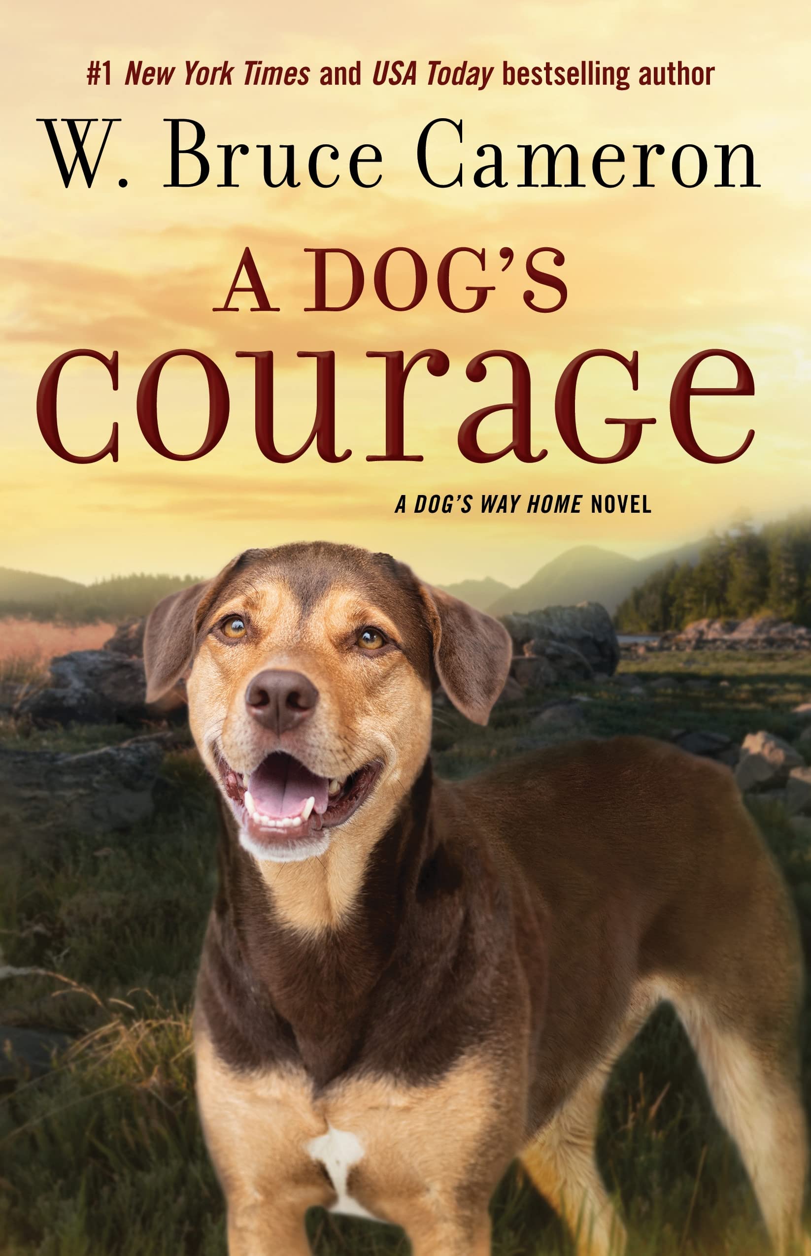 Dog's Courage: A Dog's Way Home Novel (Dog's Way Home, 2, Band 2) Contemporary literature
