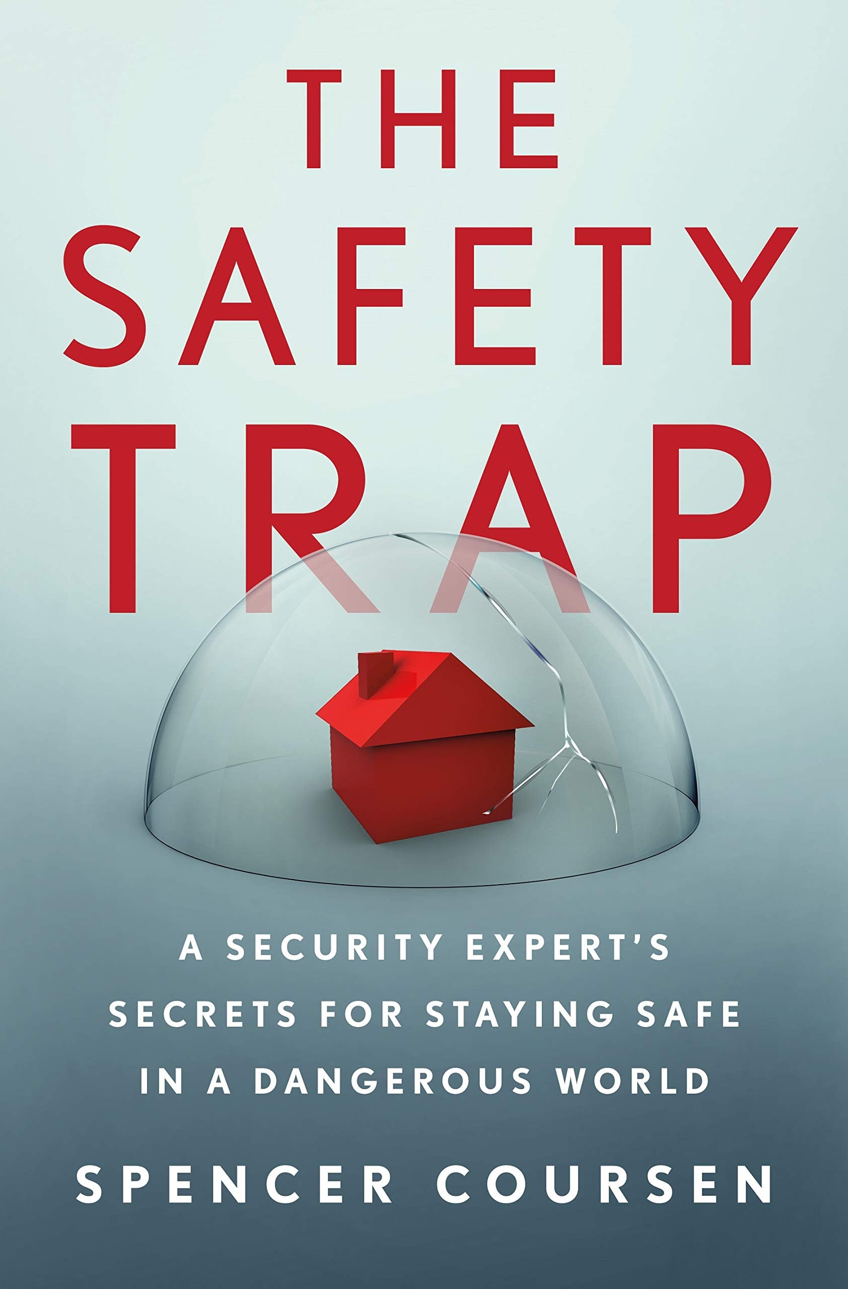 The Safety Trap: A Security Expert's Secrets for Staying Safe in a Dangerous World Social Sciences