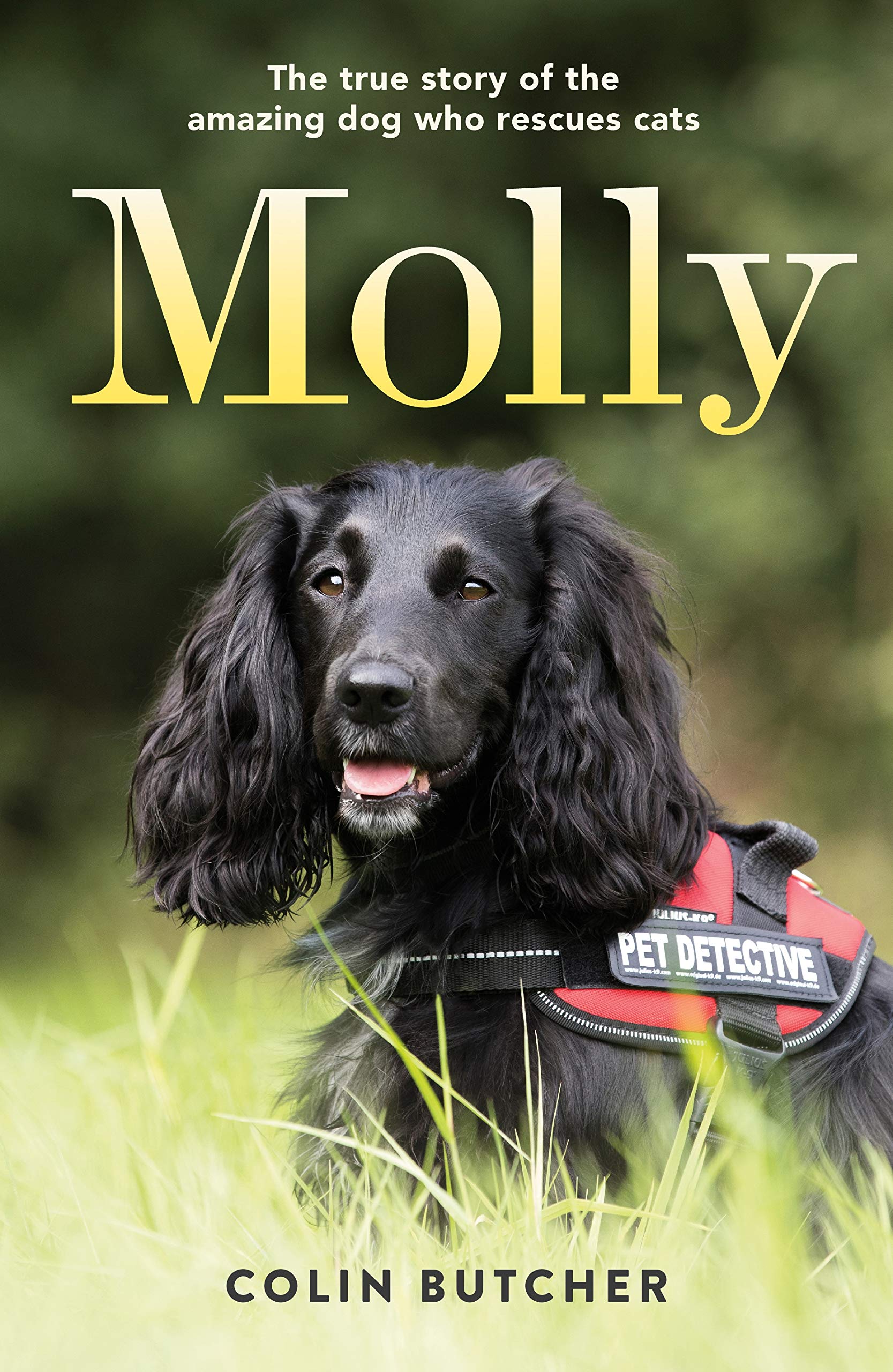 Molly Art & Literature Books