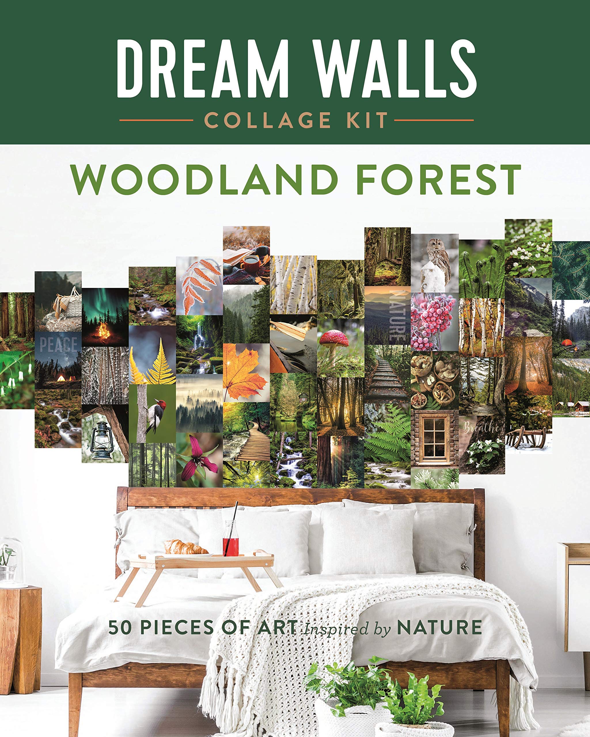 Woodland Forest: 50 Pieces of Art Inspired by Nature (Dream Walls Collage Kit) Film, Art & Culture