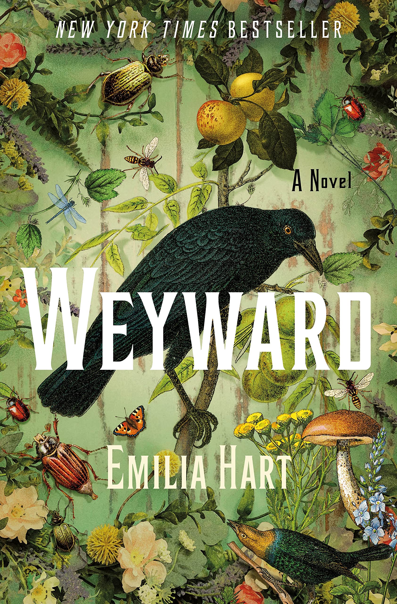 Weyward Contemporary literature Books
