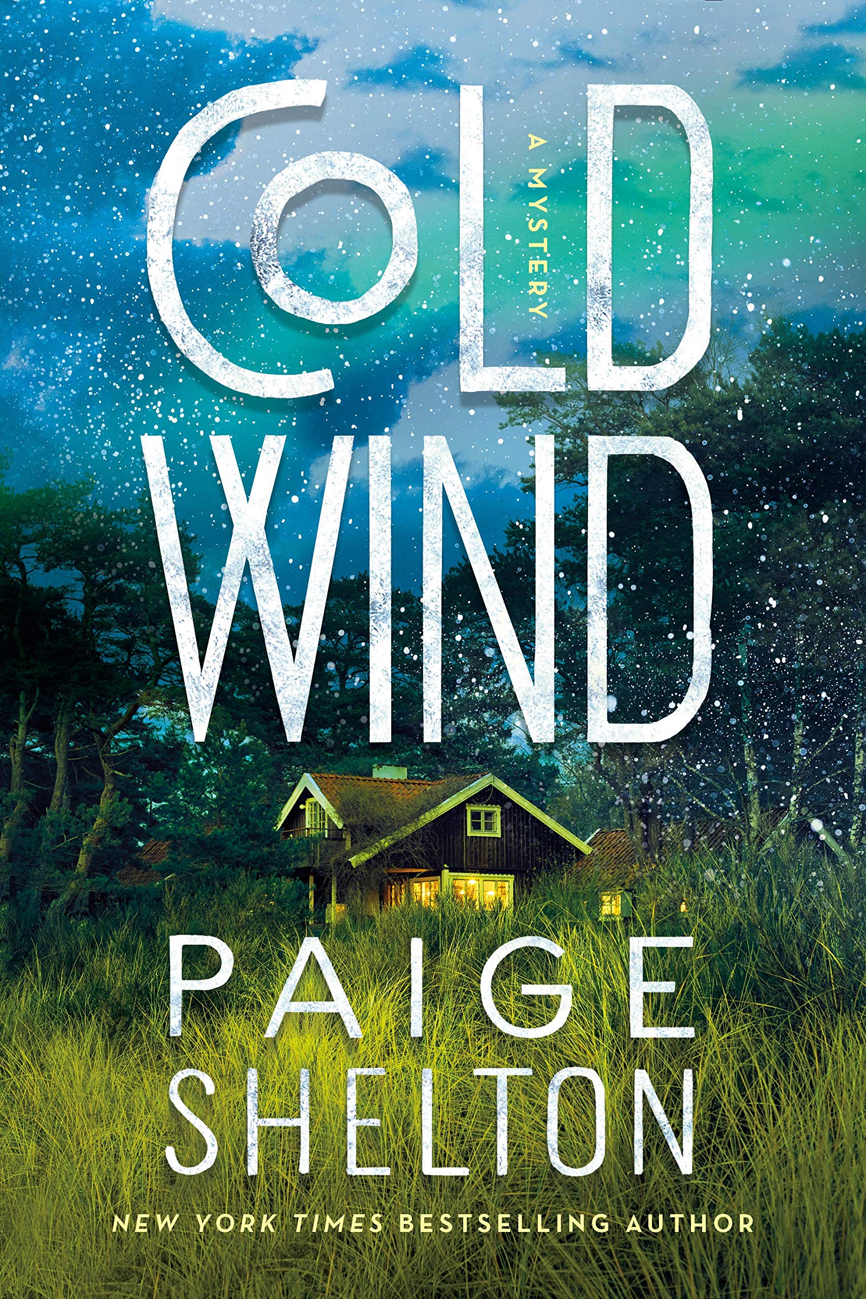 Cold Wind Contemporary literature Books