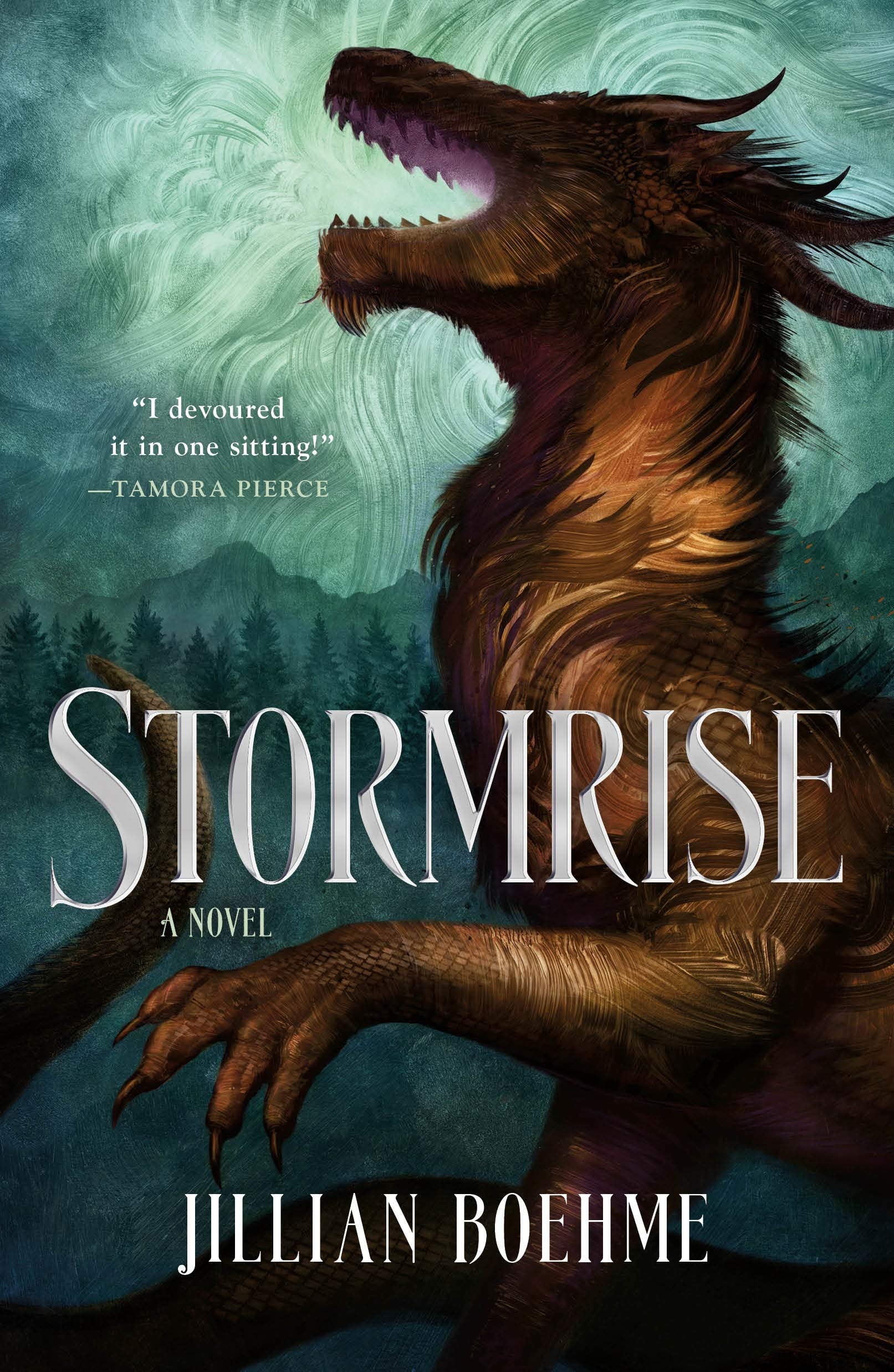 Stormrise Fiction books for children