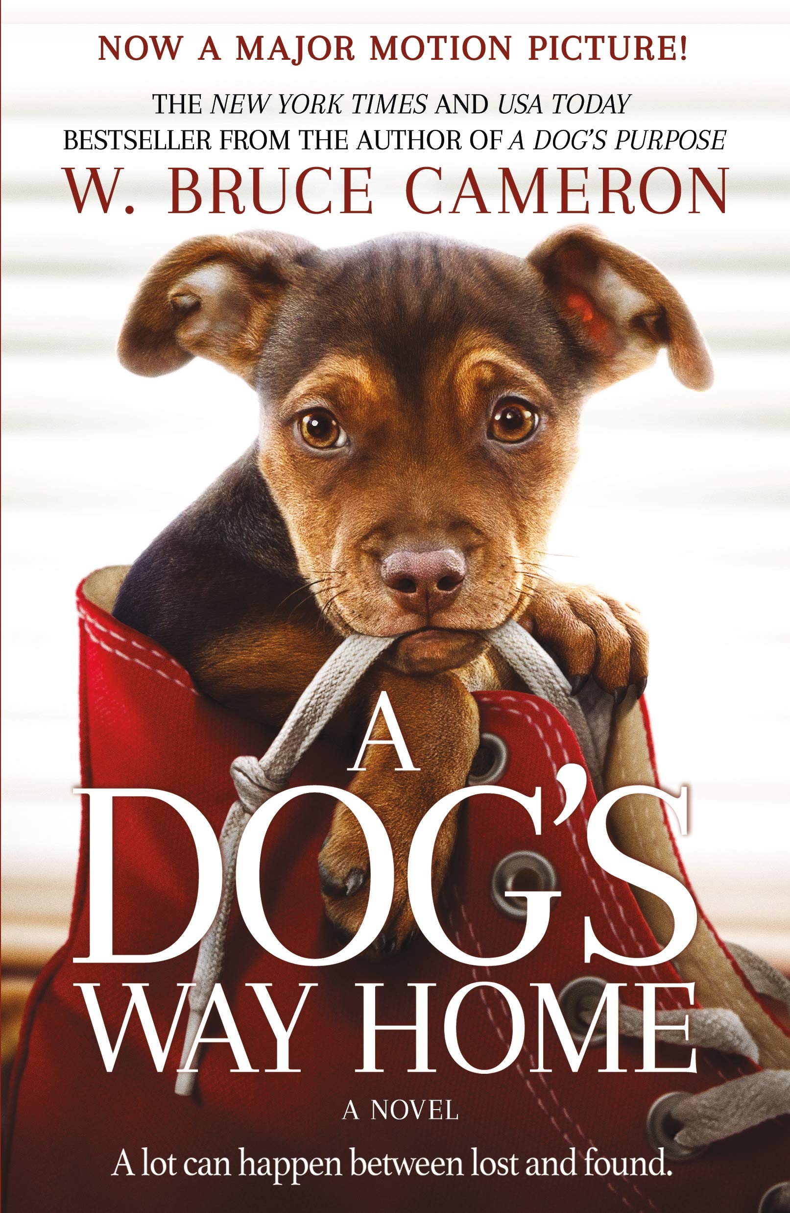 A Dog's Way Home Movie Tie-In Poetry