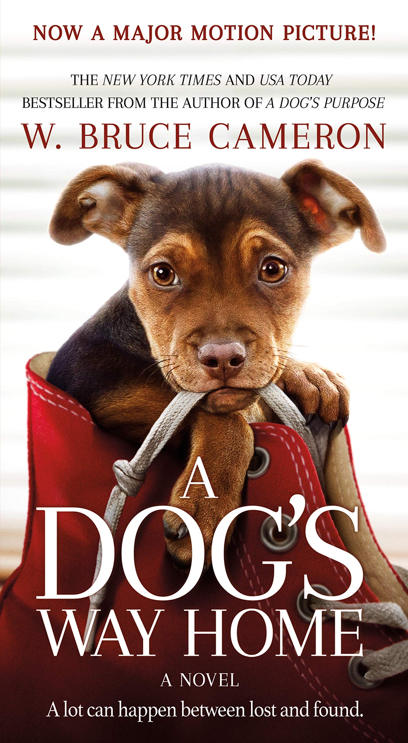 A Dog's Way Home Movie Tie-In Poetry