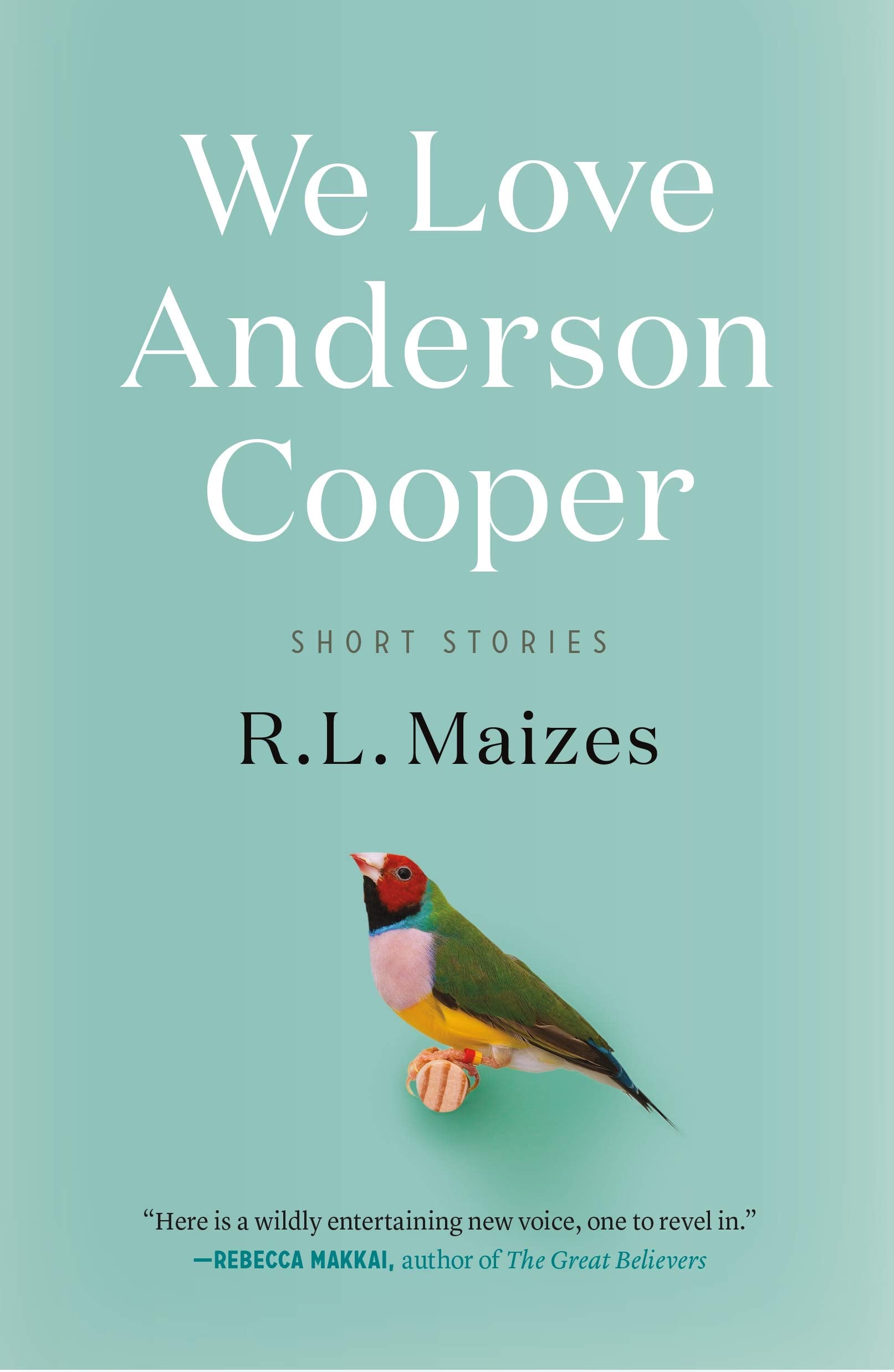 We Love Anderson Cooper: Short Stories Essays & Short Stories