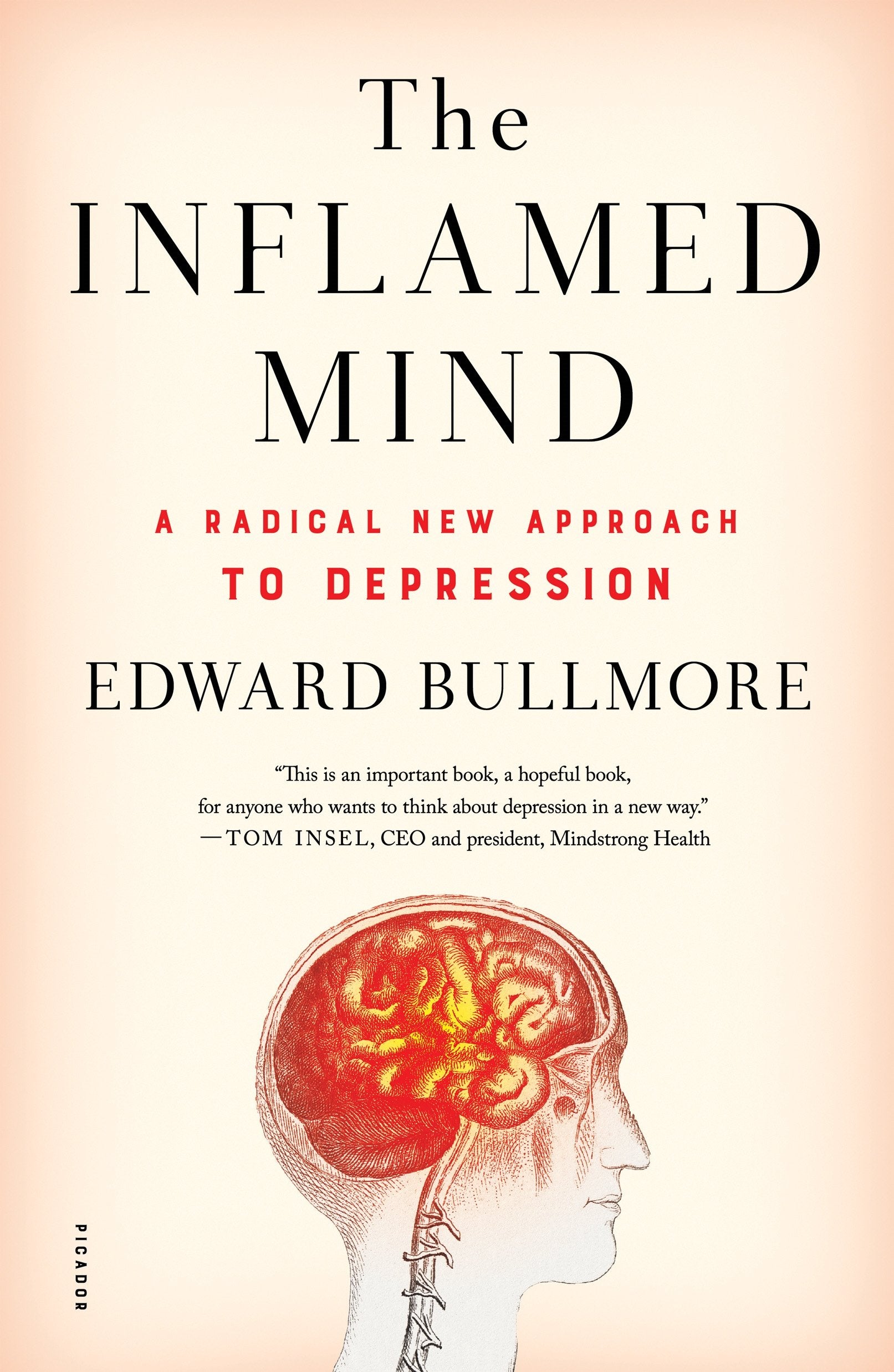 The Inflamed Mind: A Radical New Approach to Depression Medicine