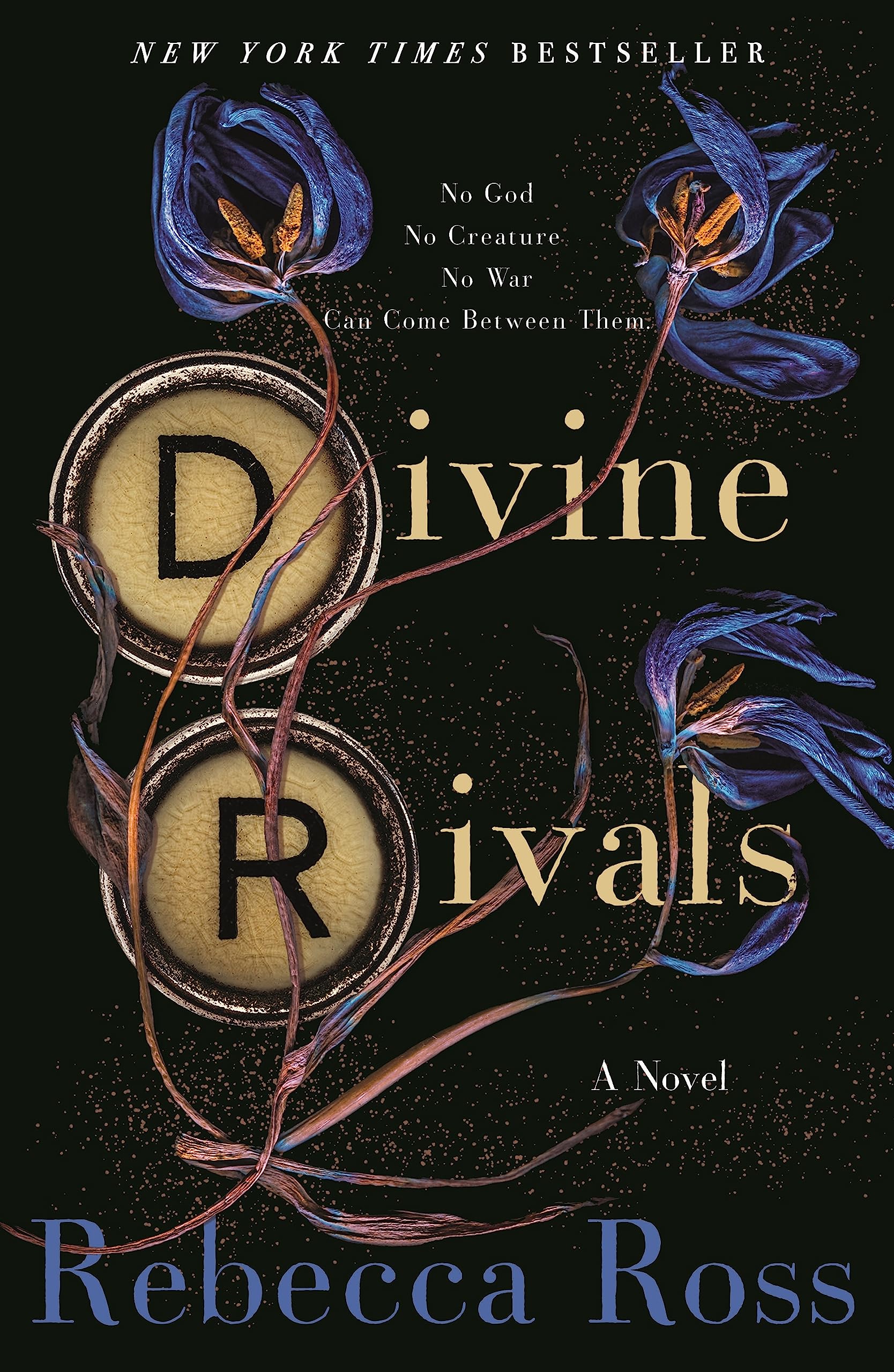 Divine Rivals: A Novel (Letters of Enchantment, 1, Band 1) Romance