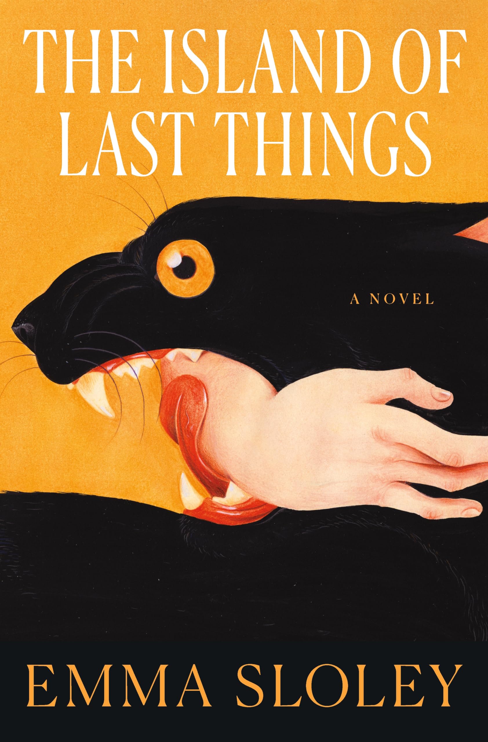 The Island of Last Things Contemporary literature