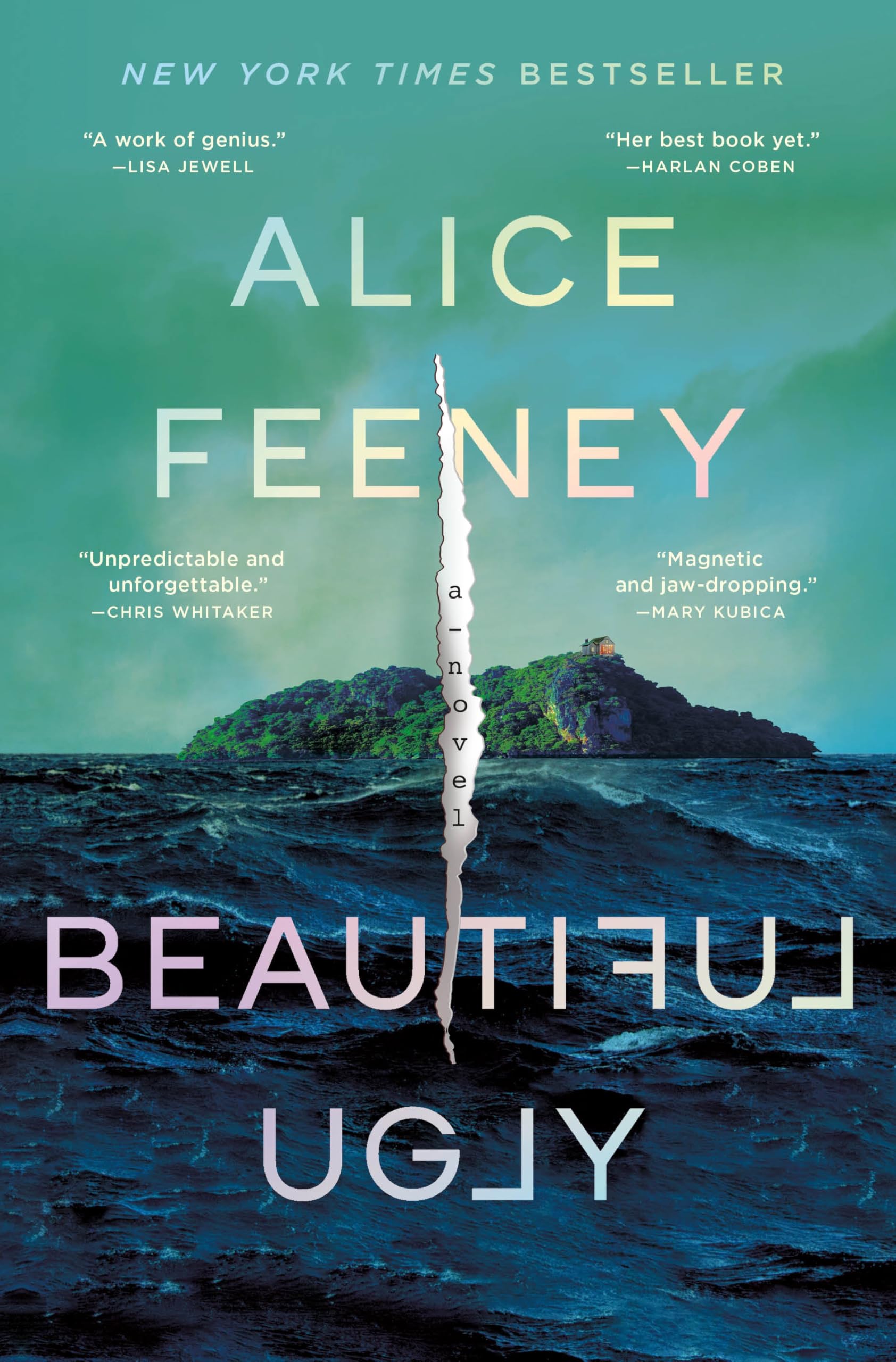 Beautiful Ugly Contemporary literature Books