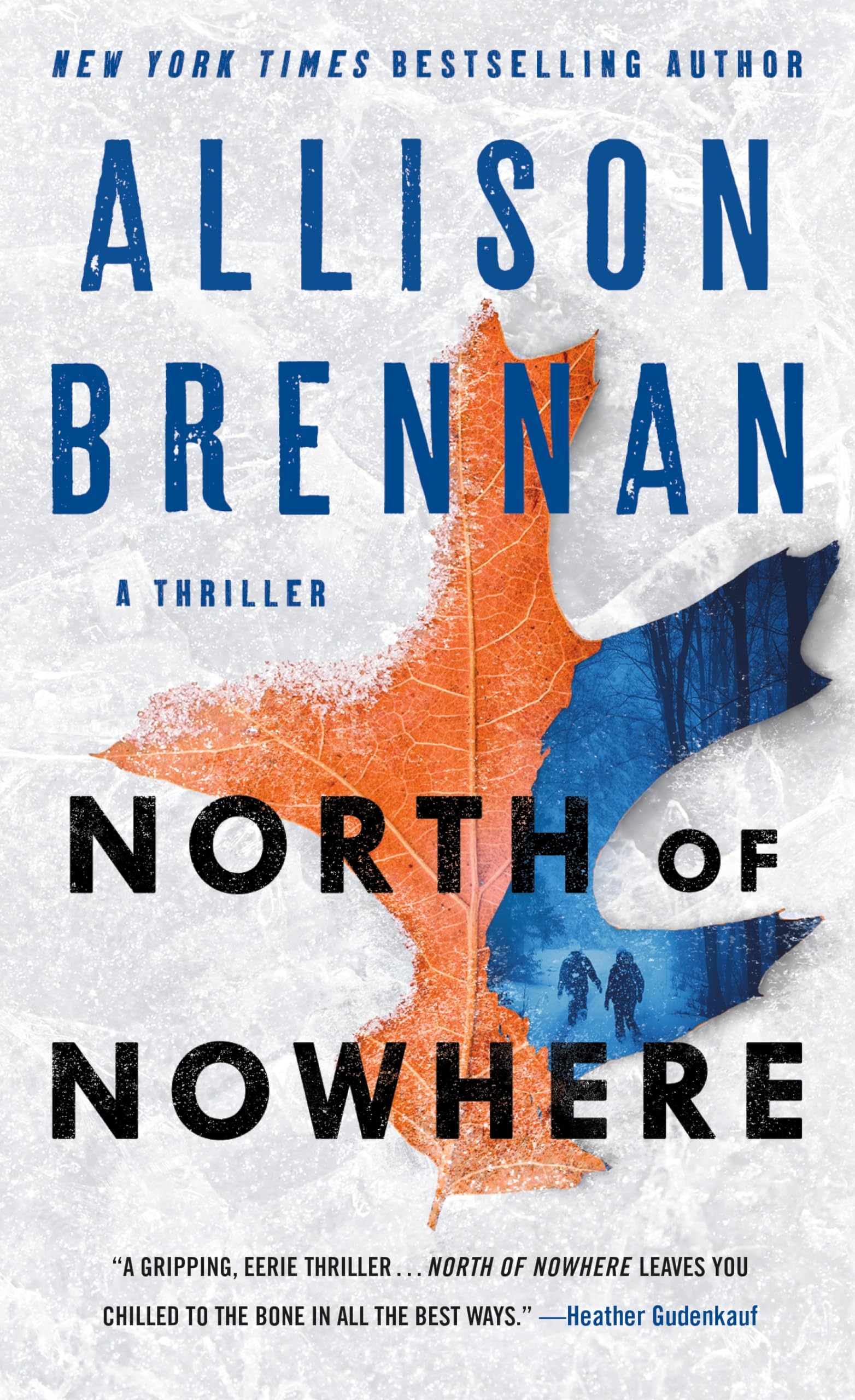North of Nowhere: A Thriller Suspense & Thrillers