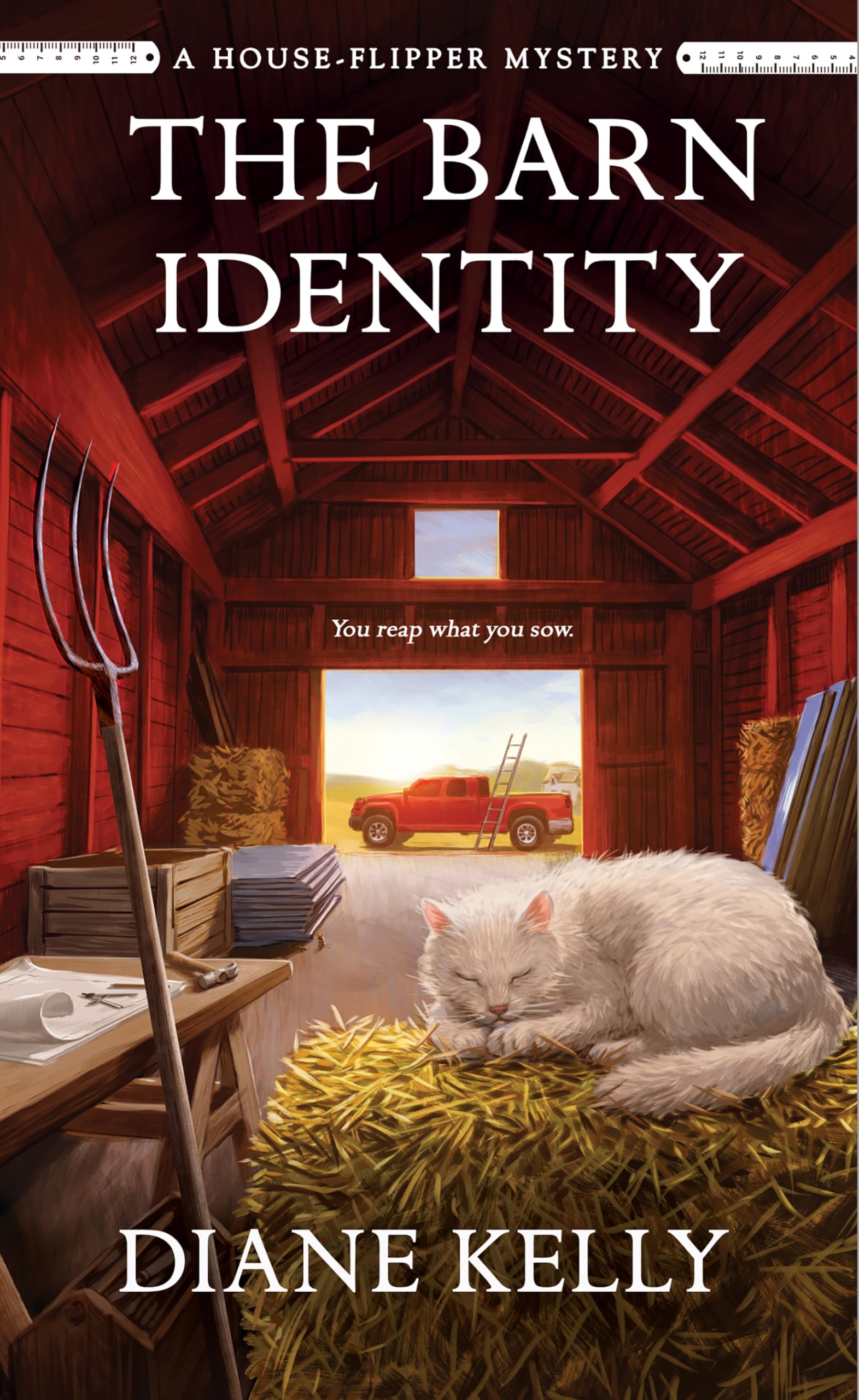 The Barn Identity: A House-flipper Mystery Contemporary literature
