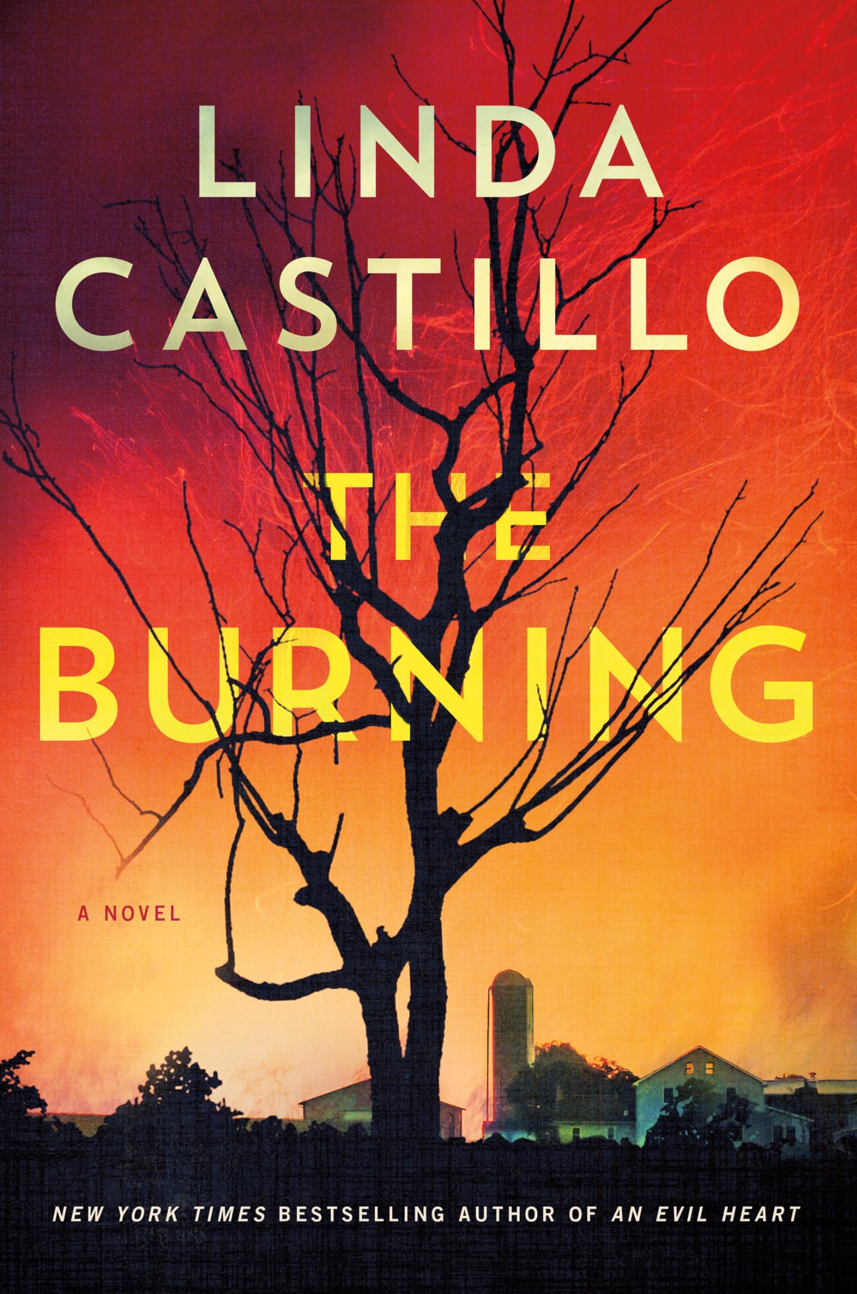 The Burning Contemporary literature Books