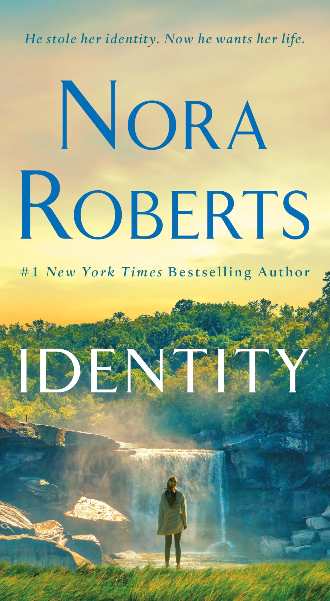 Identity: A Novel Contemporary literature
