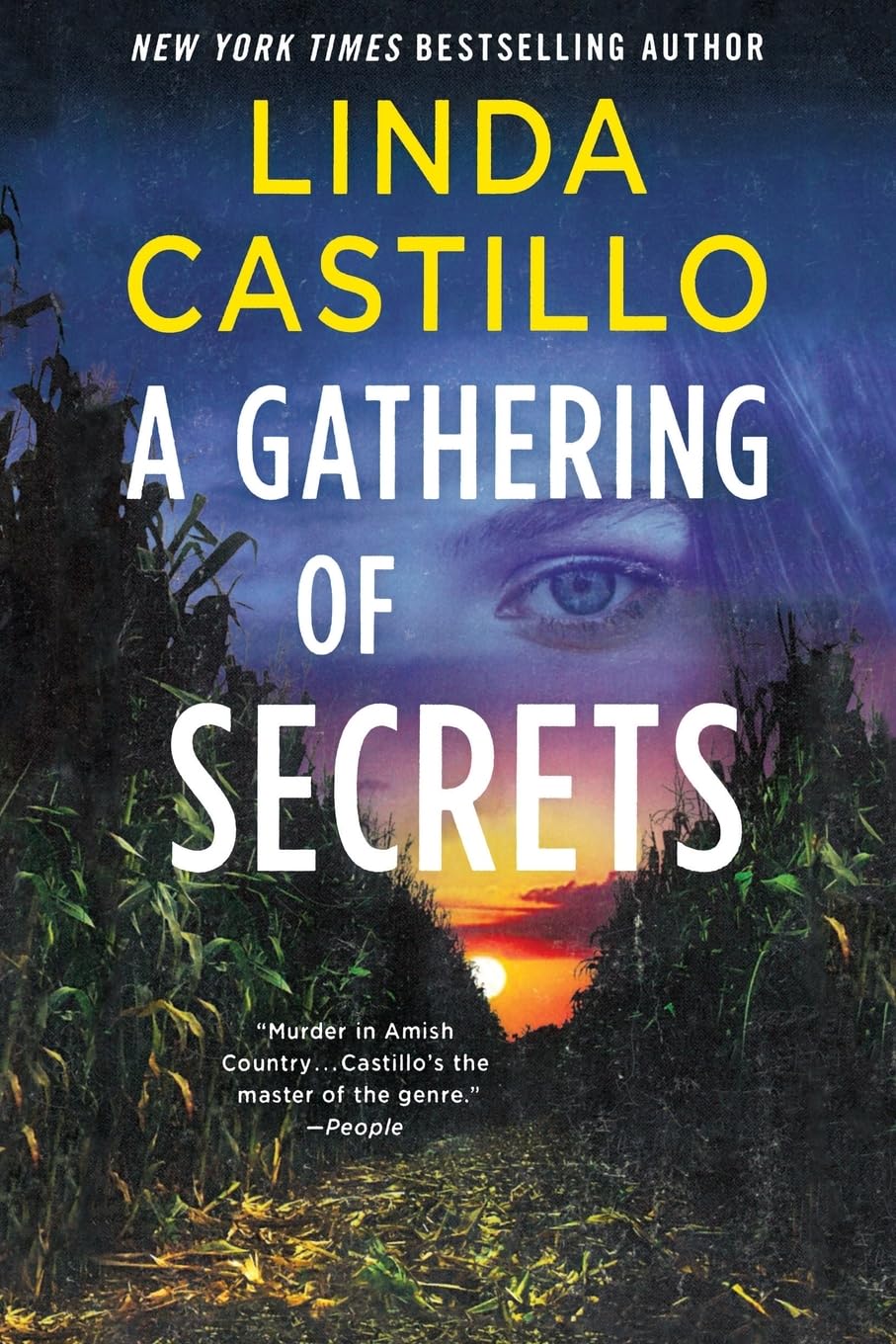 Gathering of Secrets: A Kate Burkholder Novel Historical Fiction