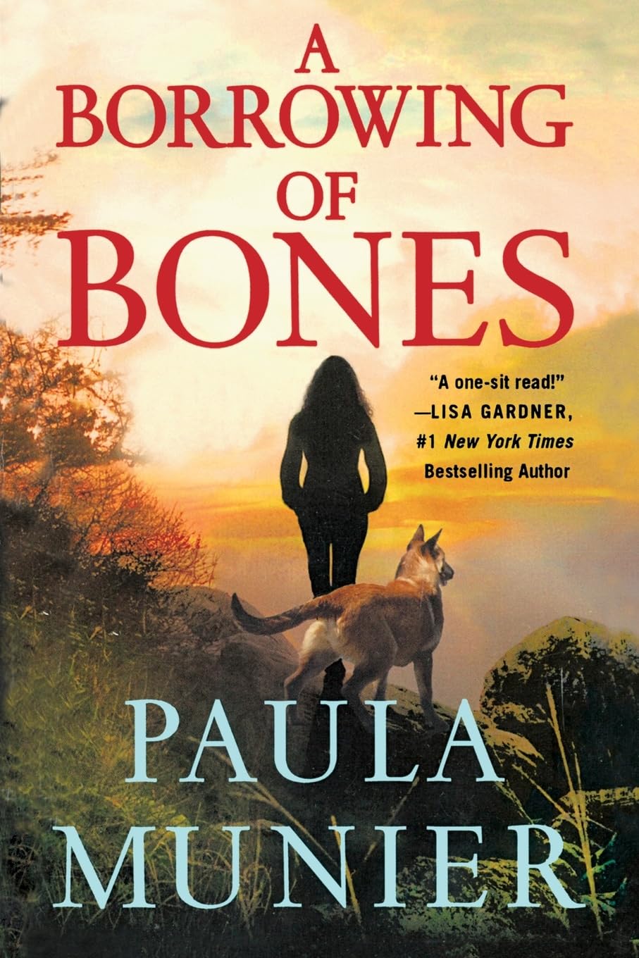 Borrowing of Bones: A Mercy Carr Mystery Contemporary literature