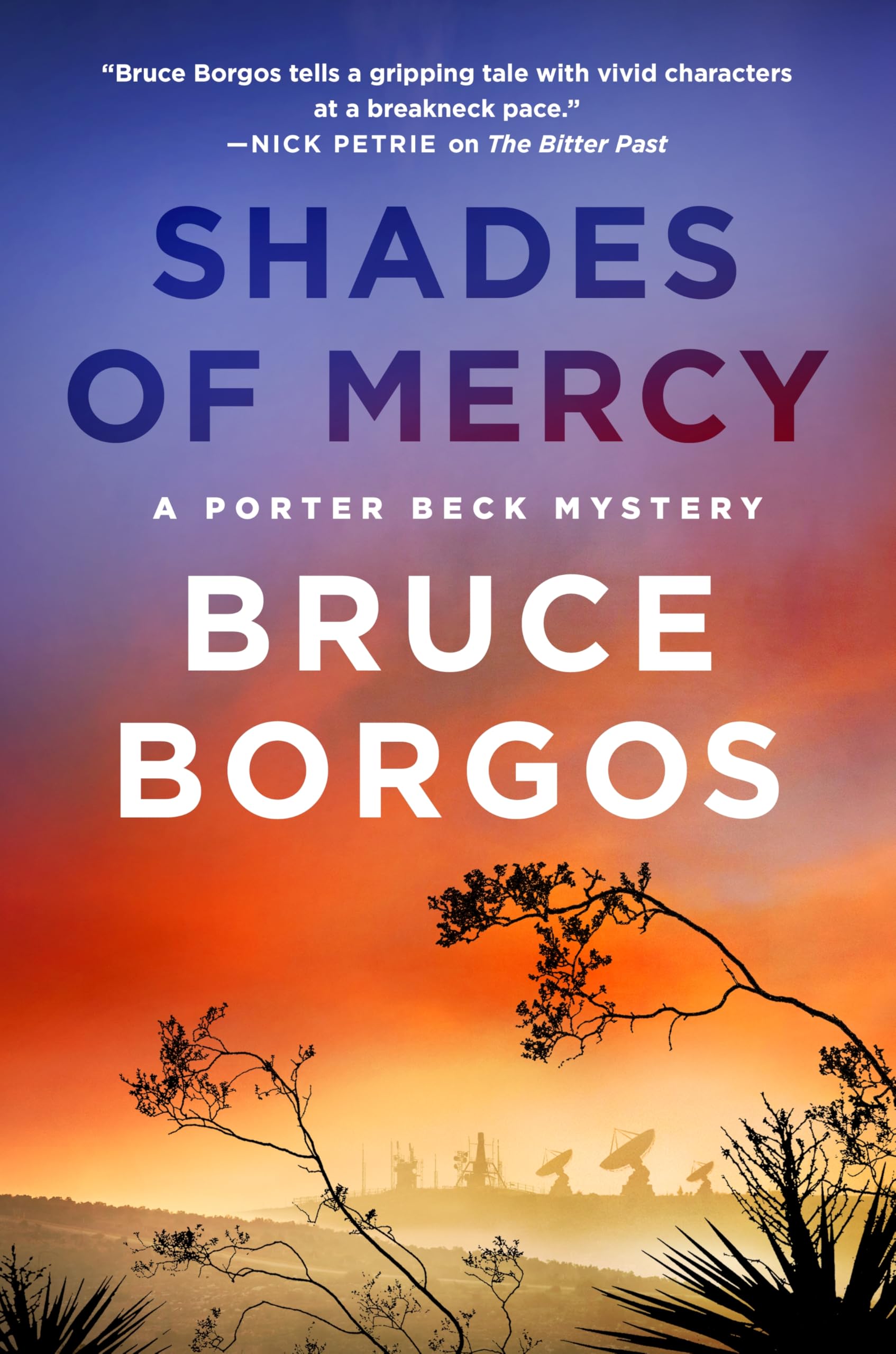 Shades of Mercy: A Porter Beck Mystery (Porter Beck Mysteries, 2, Band 2) Action & Adventure
