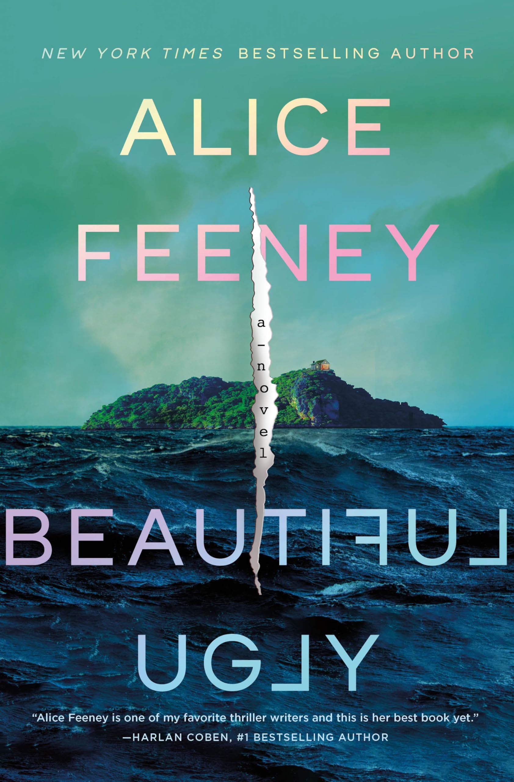 Beautiful Ugly Contemporary literature Books