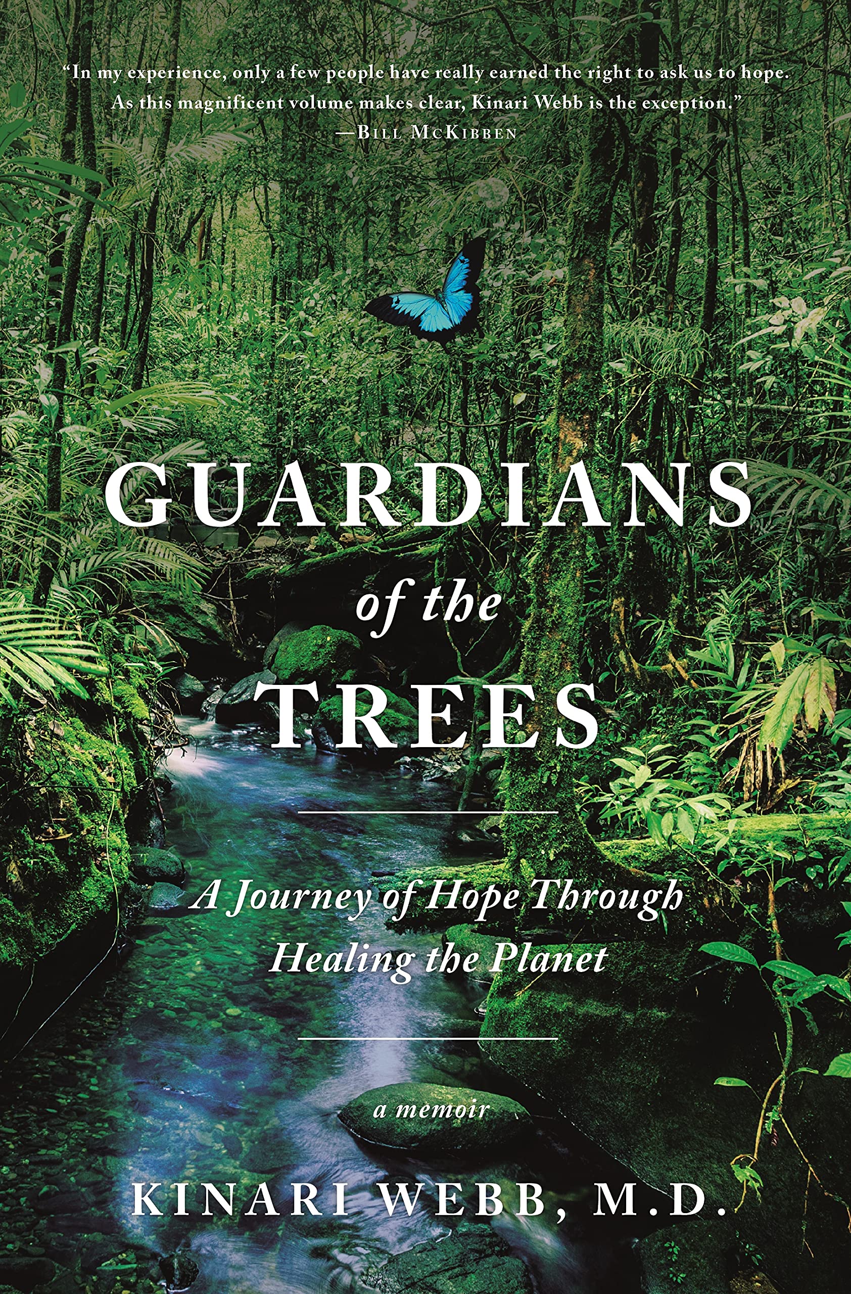 Guardians of the Trees Medicine