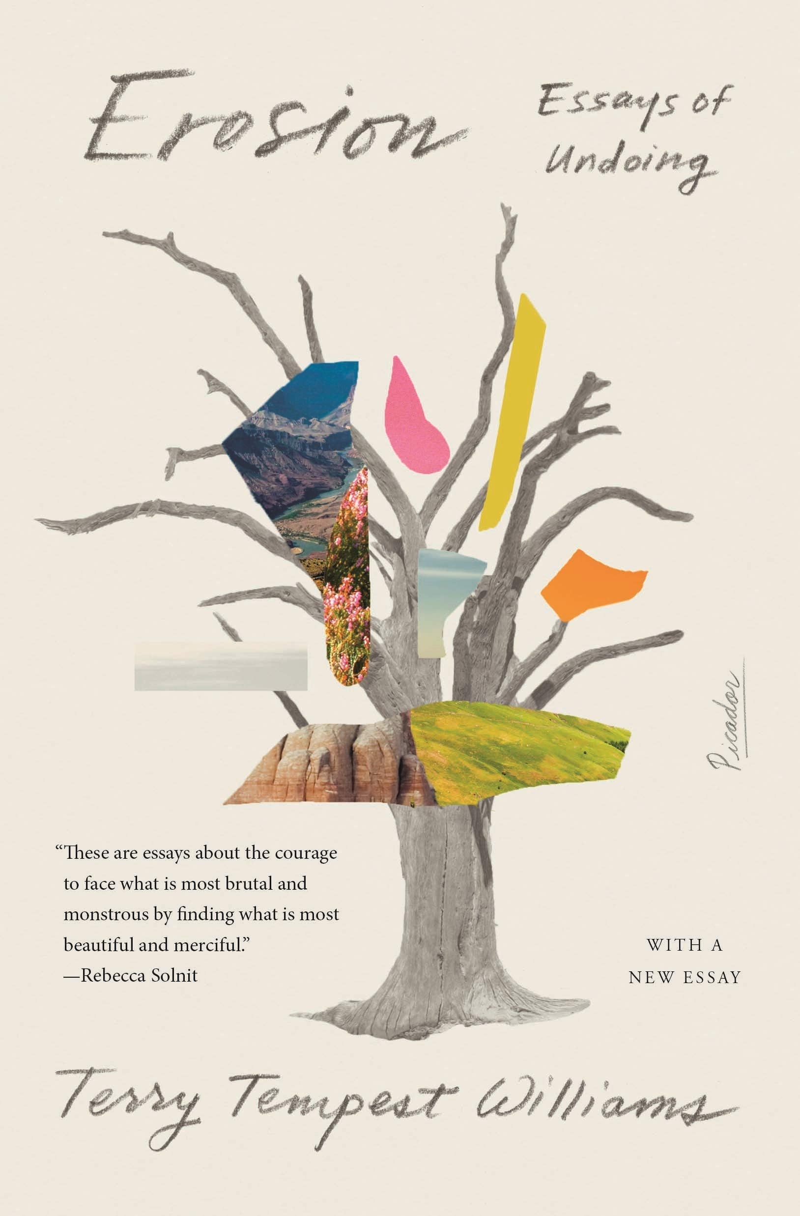 Erosion: Essays of Undoing Essays & Short Stories
