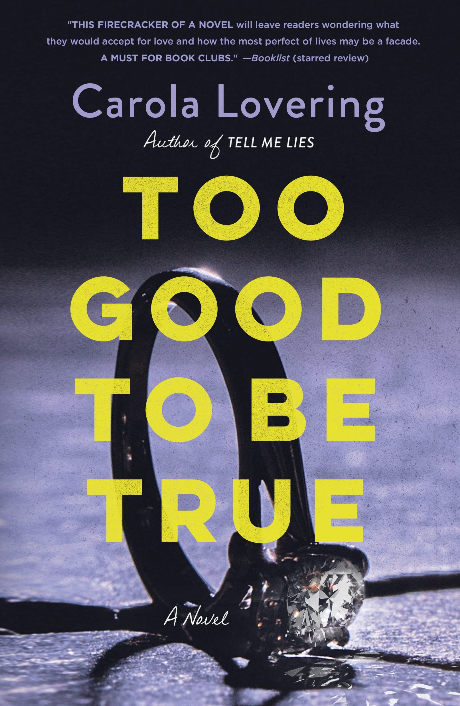 Too Good to Be True: A Novel Contemporary literature