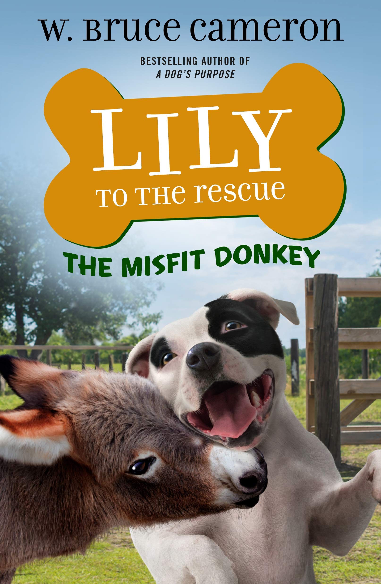 Lily to the Rescue: The Misfit Donkey (Lily to the Rescue, 6) Novels & Short Stories
