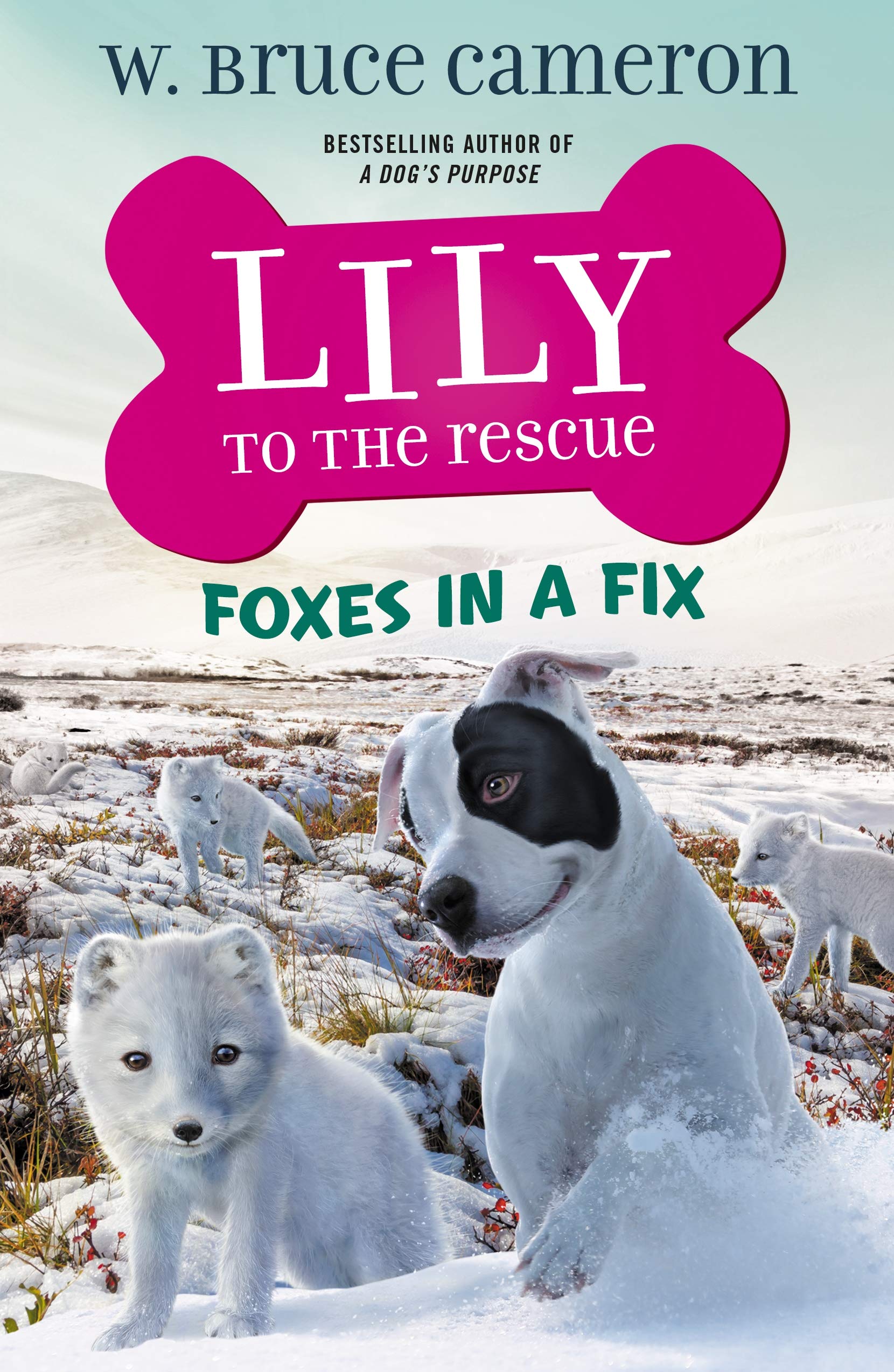 Lily to the Rescue: Foxes in a Fix Novels & Short Stories