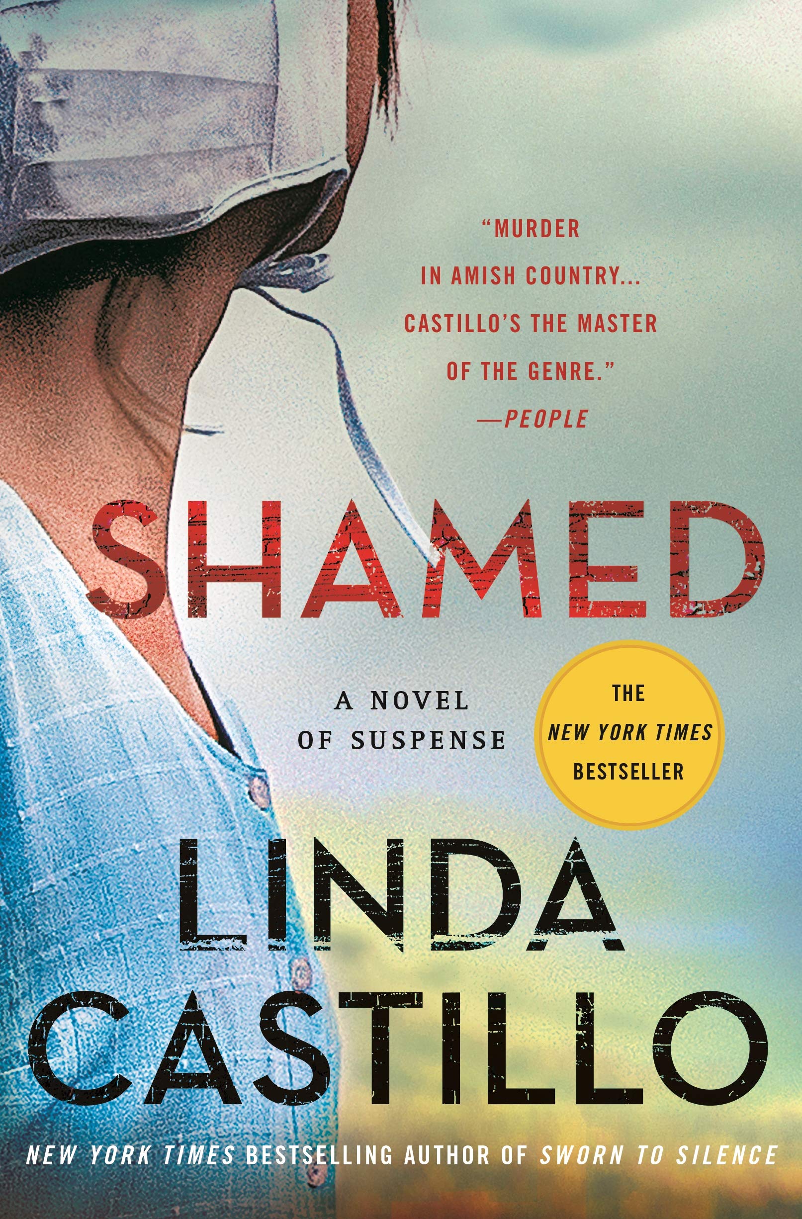 Shamed: A Novel of Suspense (Kate Burkholder) Contemporary literature