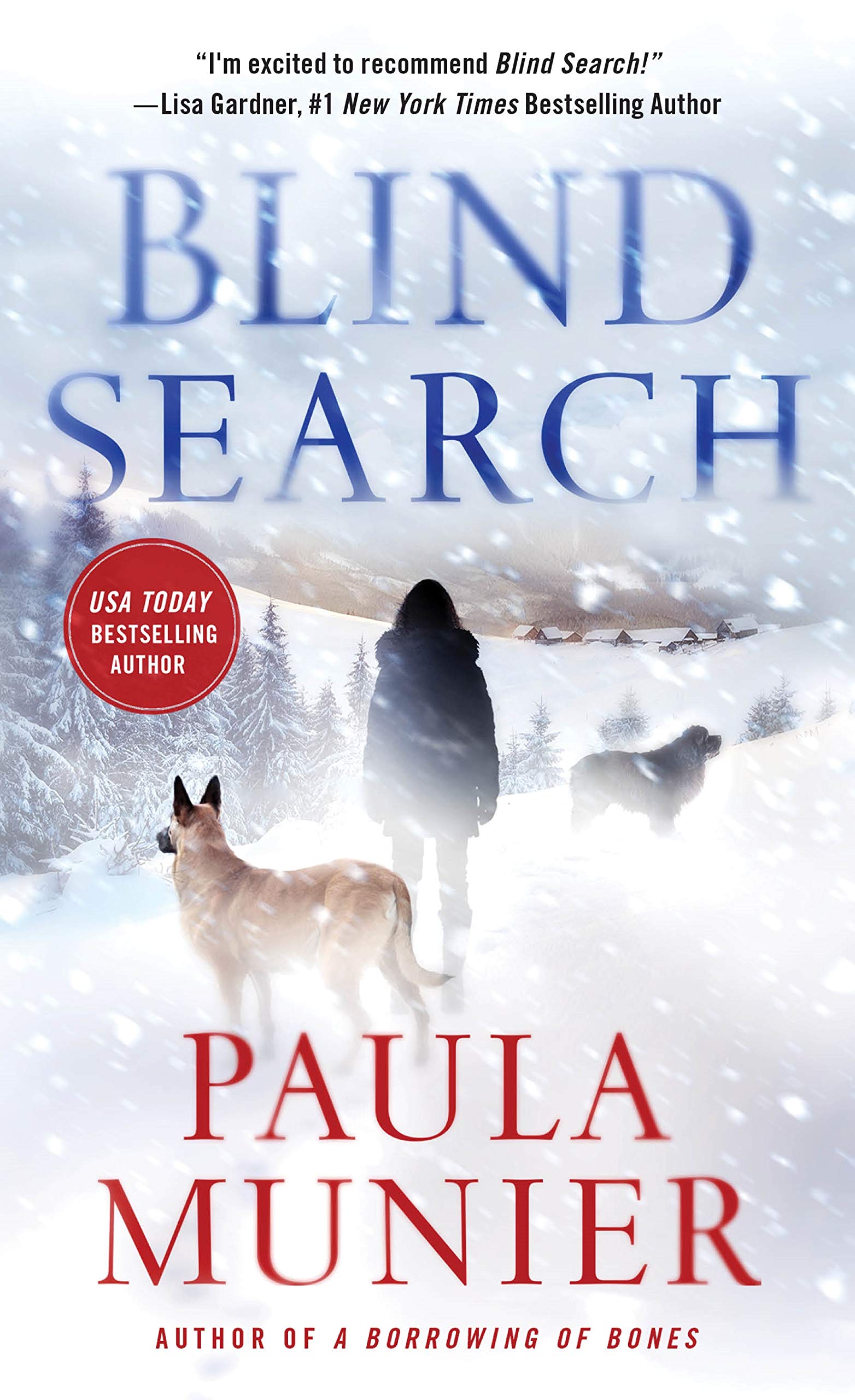 Blind Search: A Mercy Carr Mystery (Mercy Carr Mysteries, Band 2) Contemporary literature