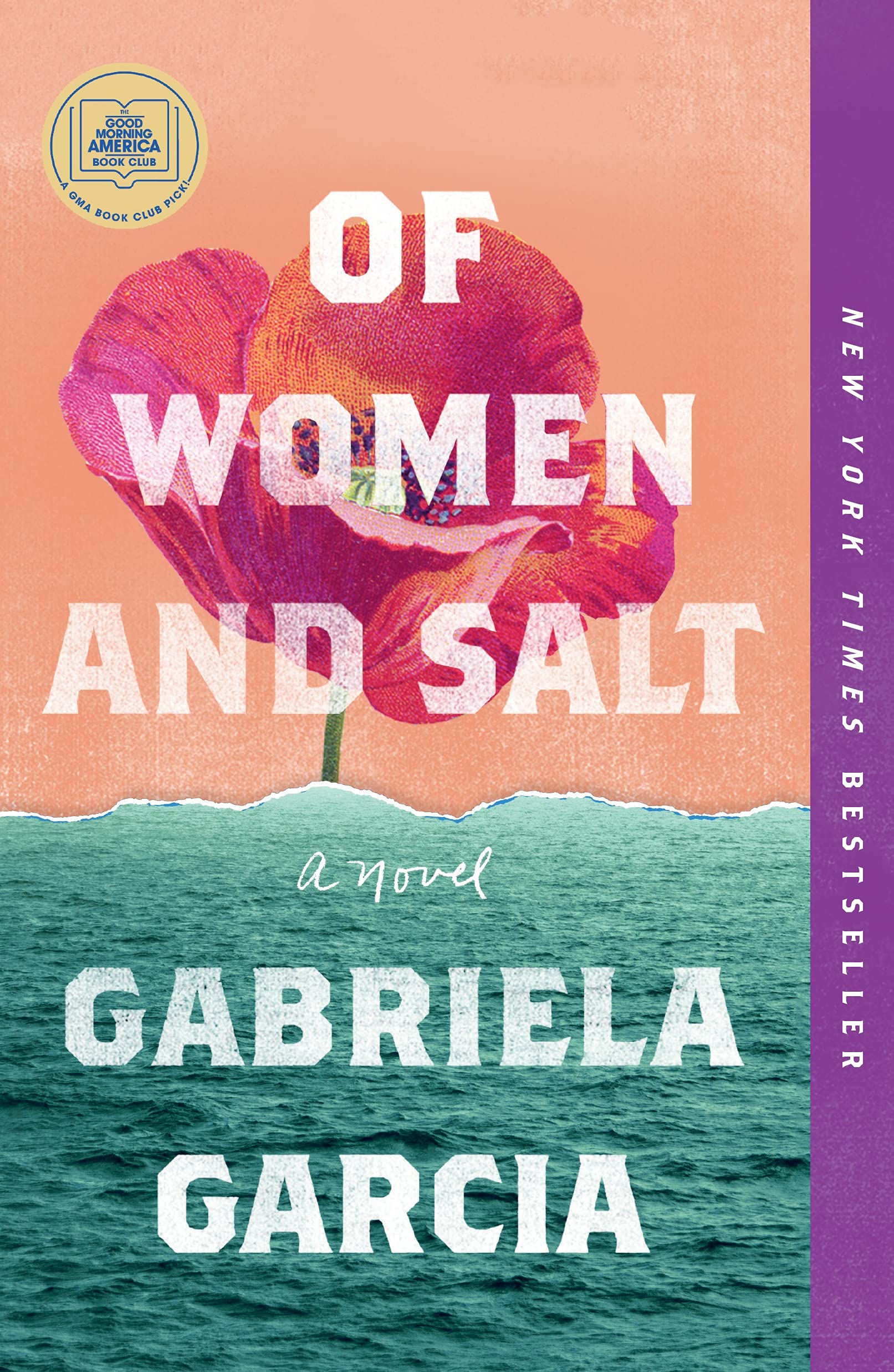 Of Women and Salt: A Novel Contemporary literature