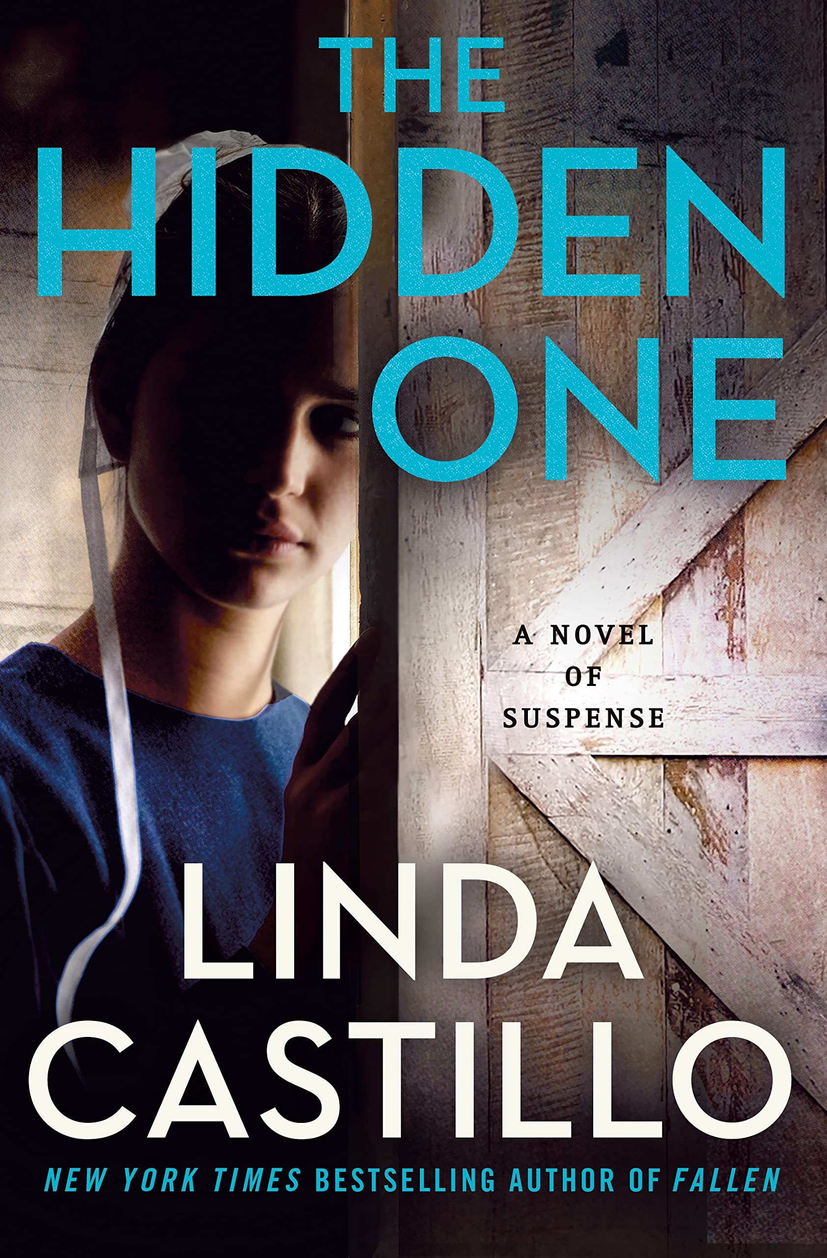 The Hidden One: A Kate Burkholder Novel Detective & CSI