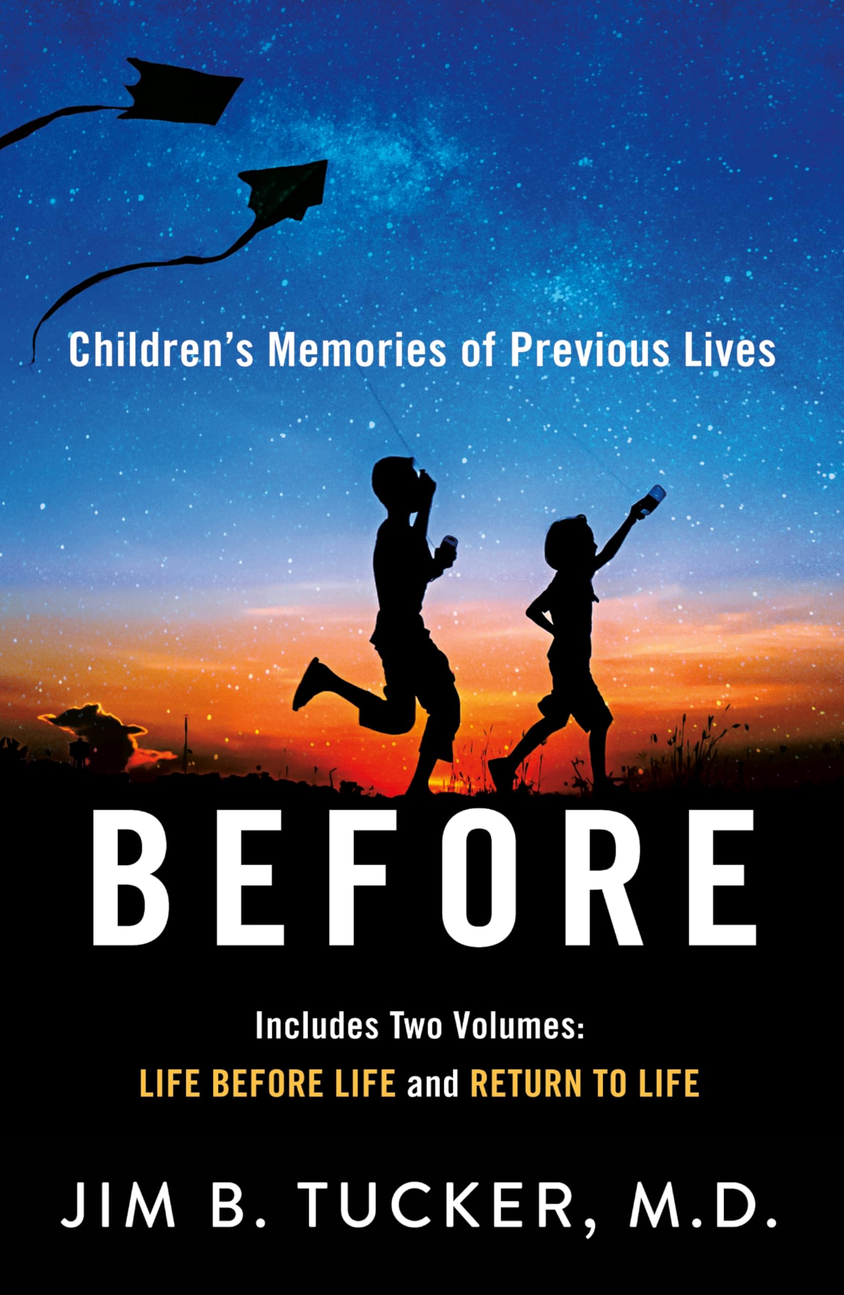 Before: Children's Memories of Previous Lives Self-help