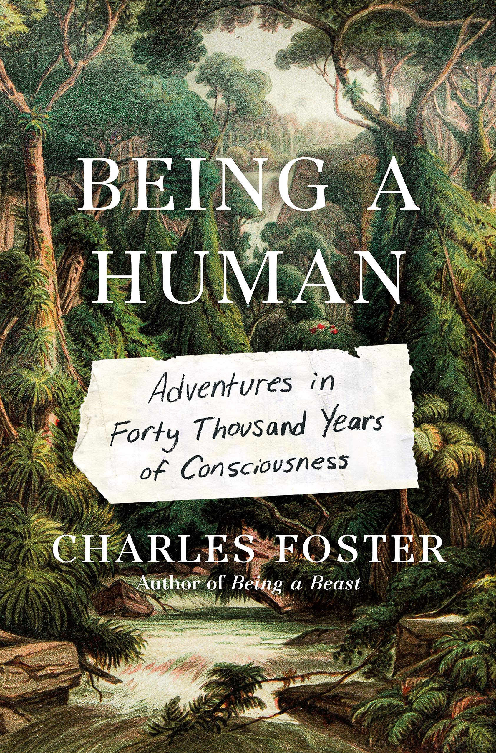 Being a Human: Adventures in Forty Thousand Years of Consciousness Business & Technology