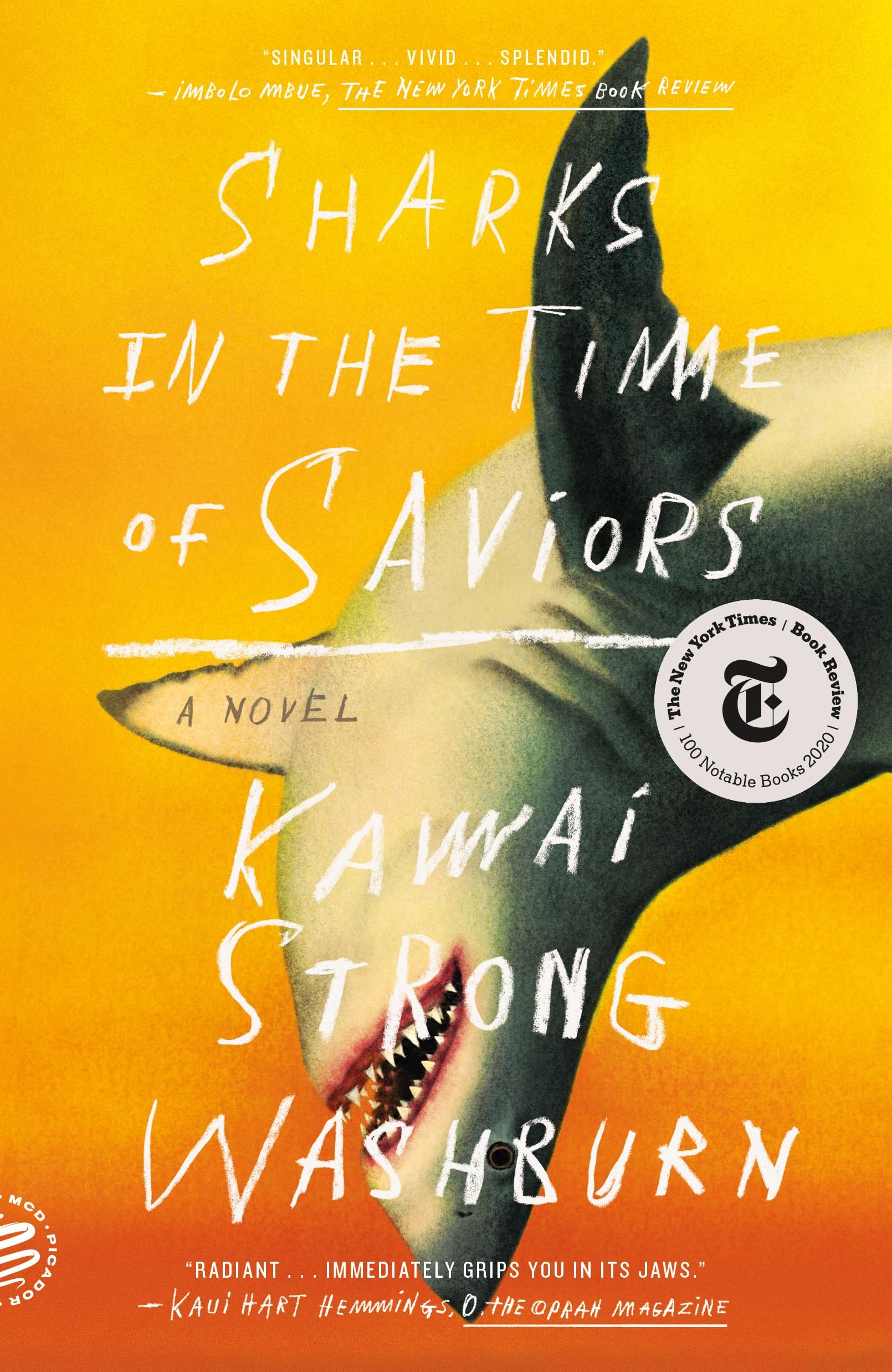 Sharks in the Time of Saviors Contemporary literature