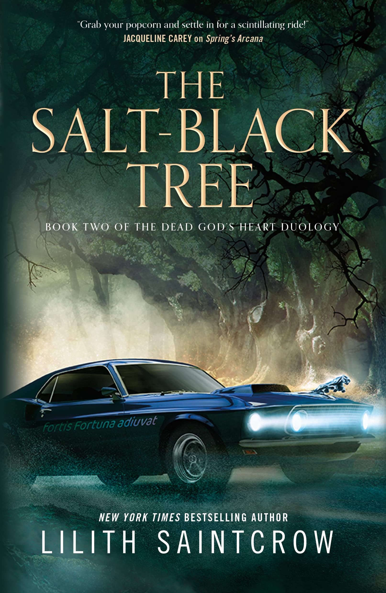 The Salt-Black Tree: Book Two of the Dead God's Heart Duology (Dead God's Heart, 2) Action & Adventure