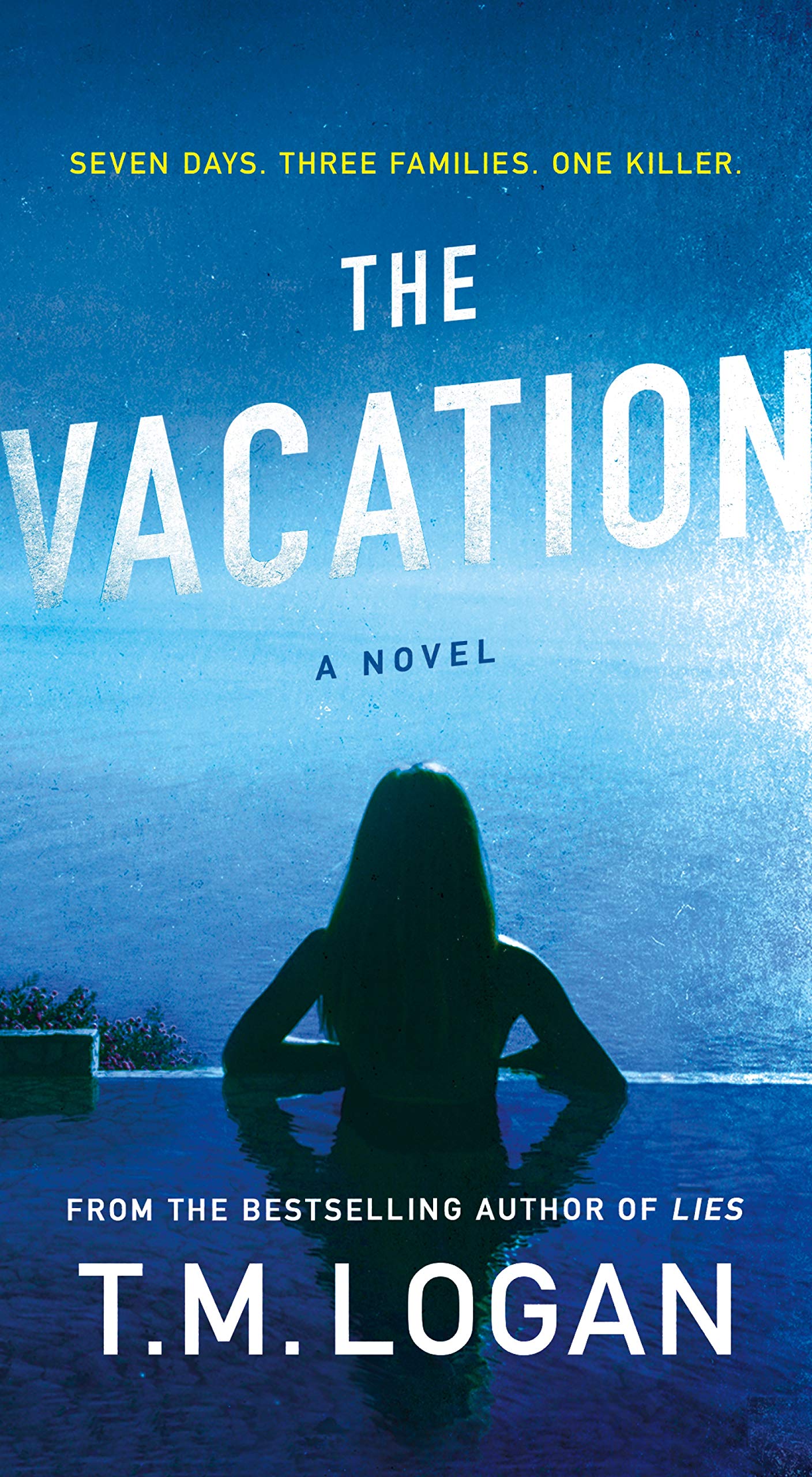 Product Image: The Vacation