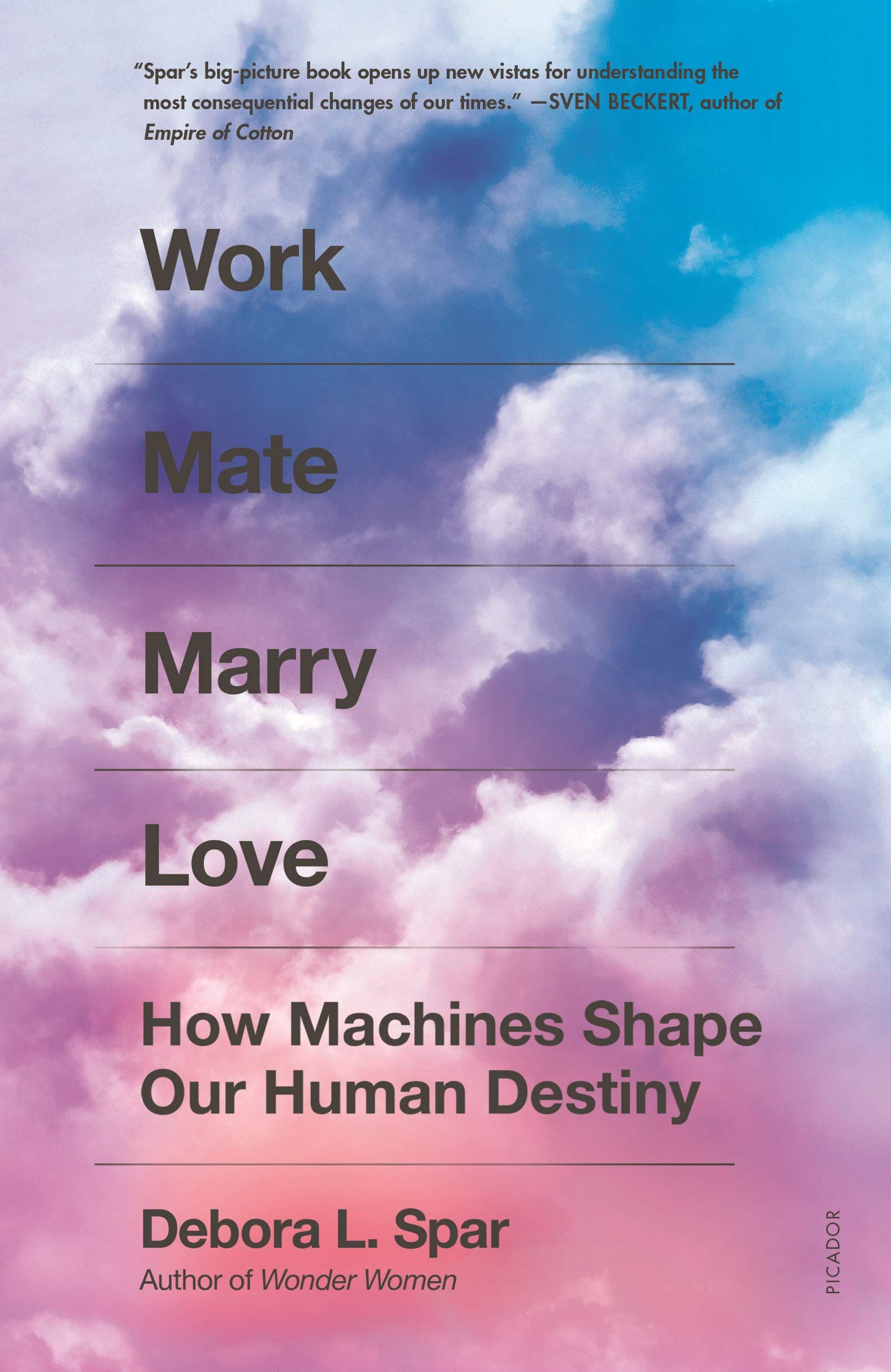 Work Mate Marry Love: How Machines Shape Our Human Destiny Social Sciences