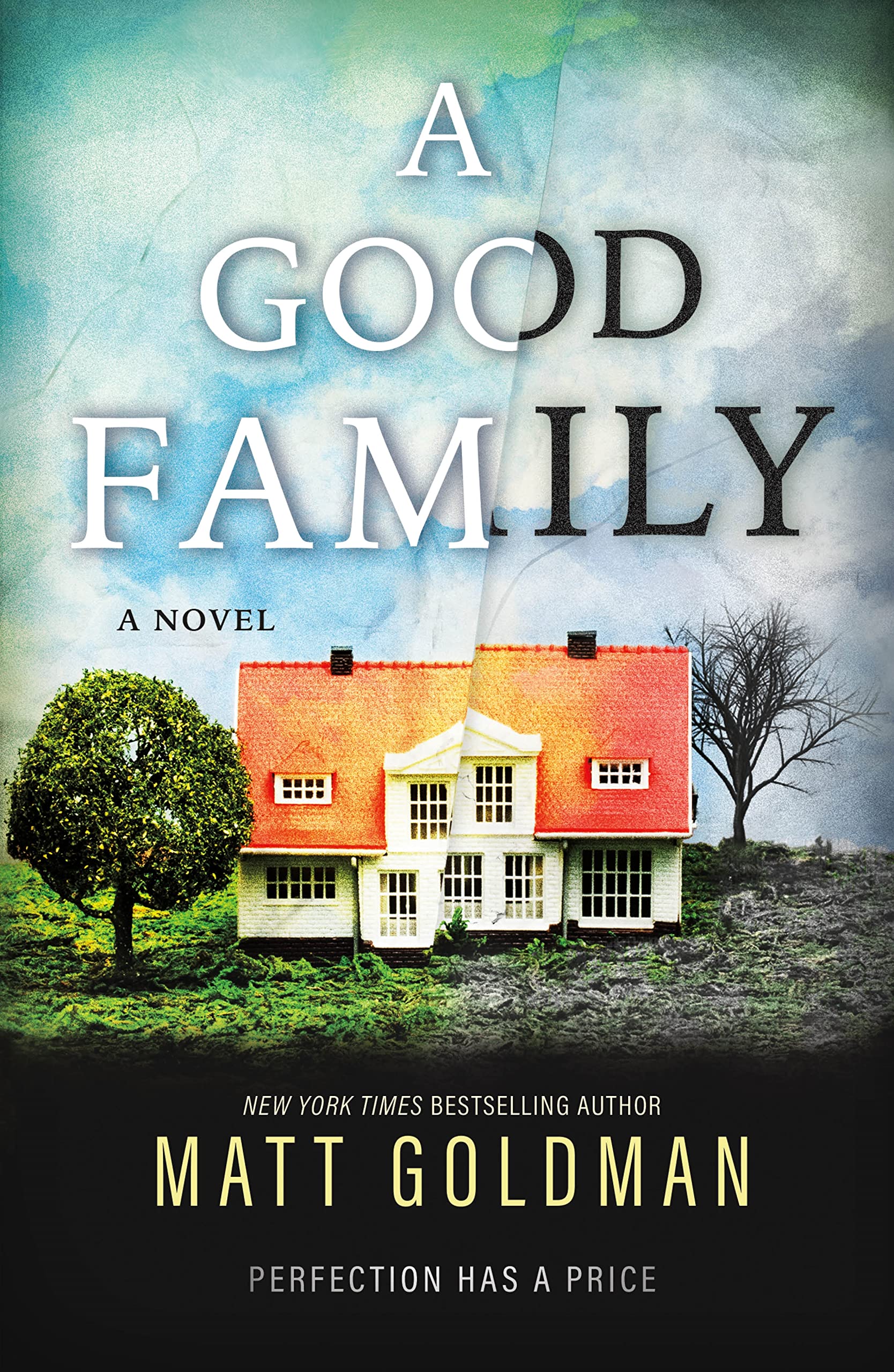 A Good Family: A Novel Contemporary literature