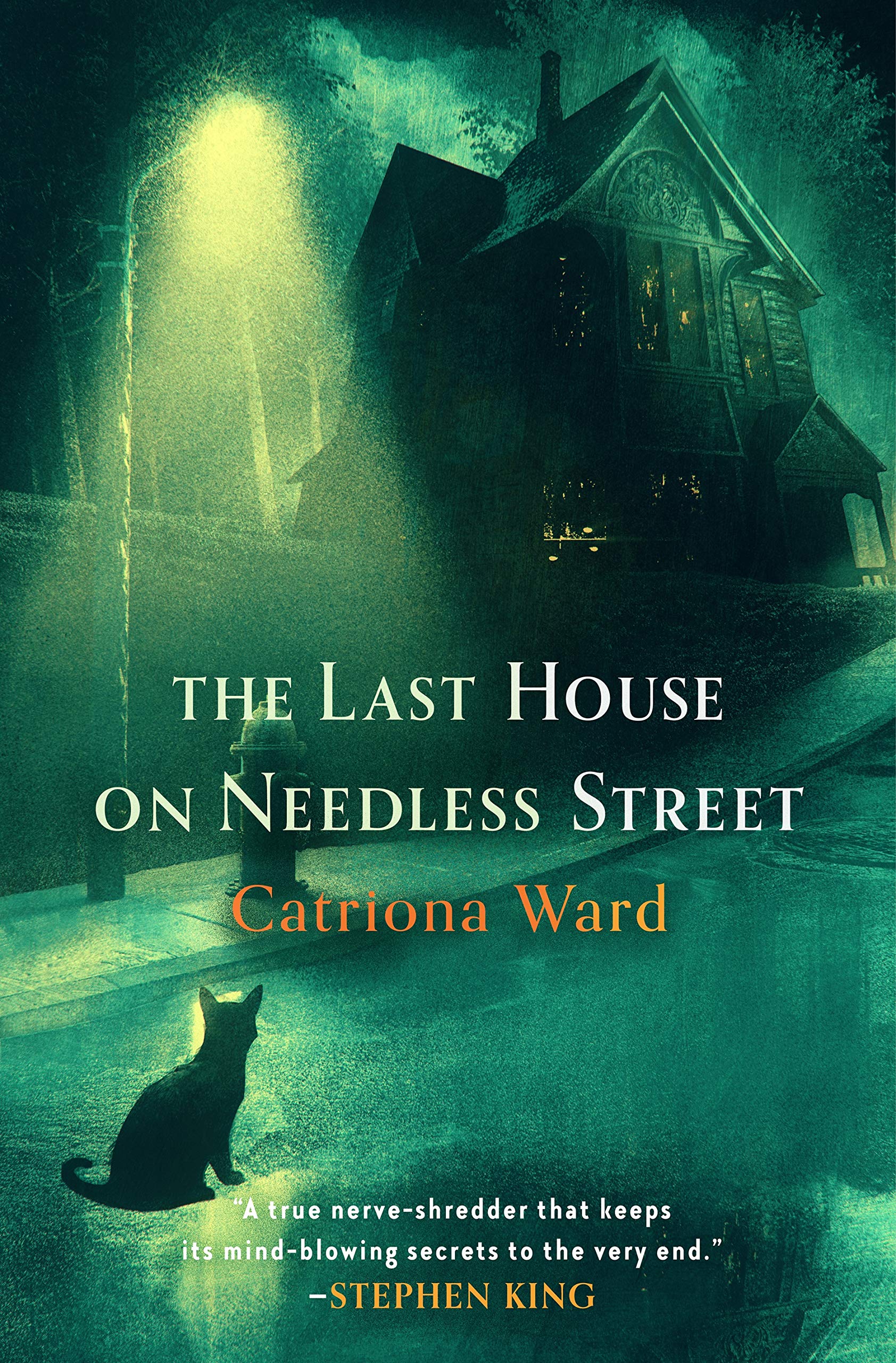 The Last House on Needless Street Horror & Mystery