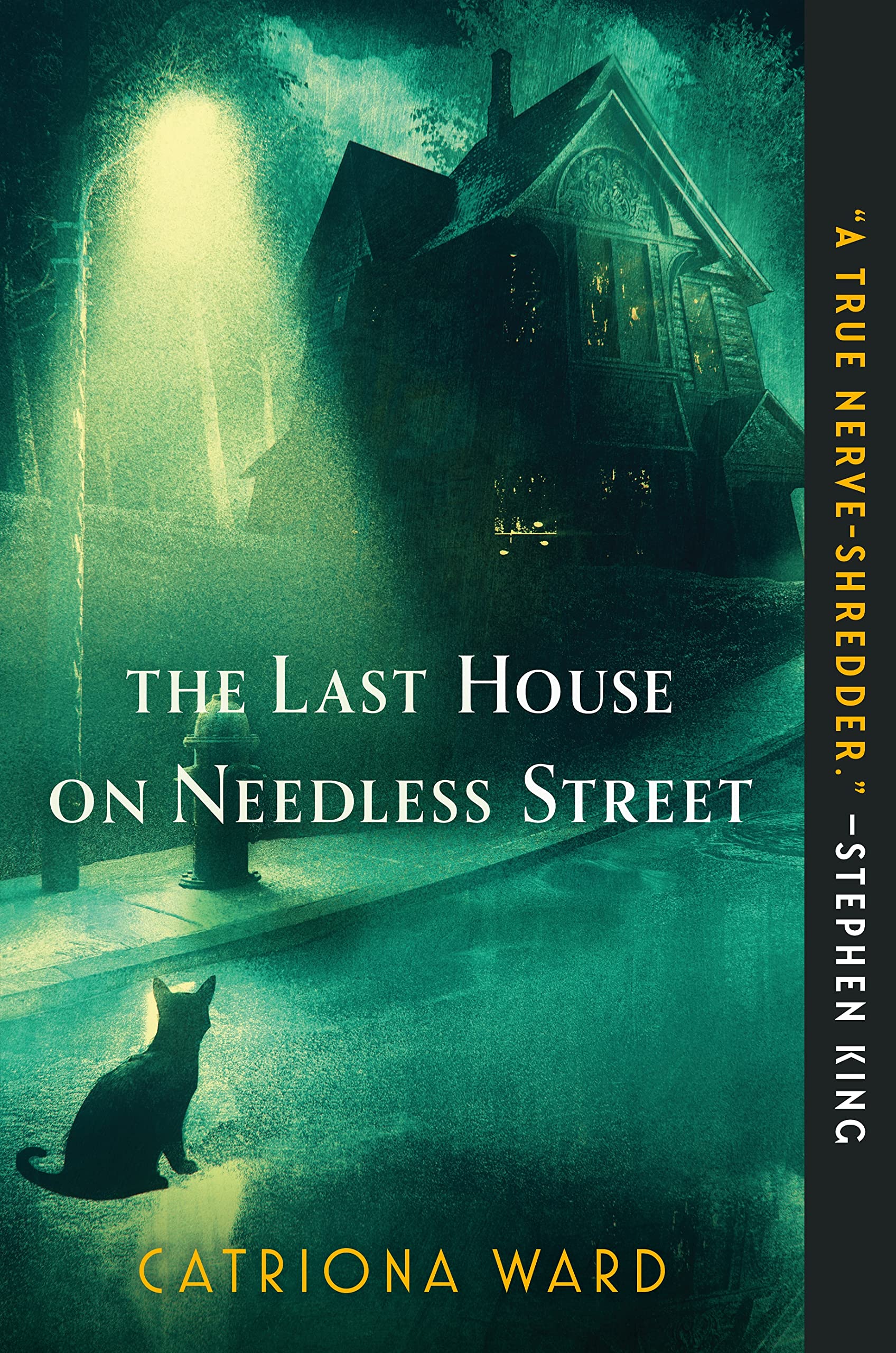 The Last House on Needless Street Horror & Mystery