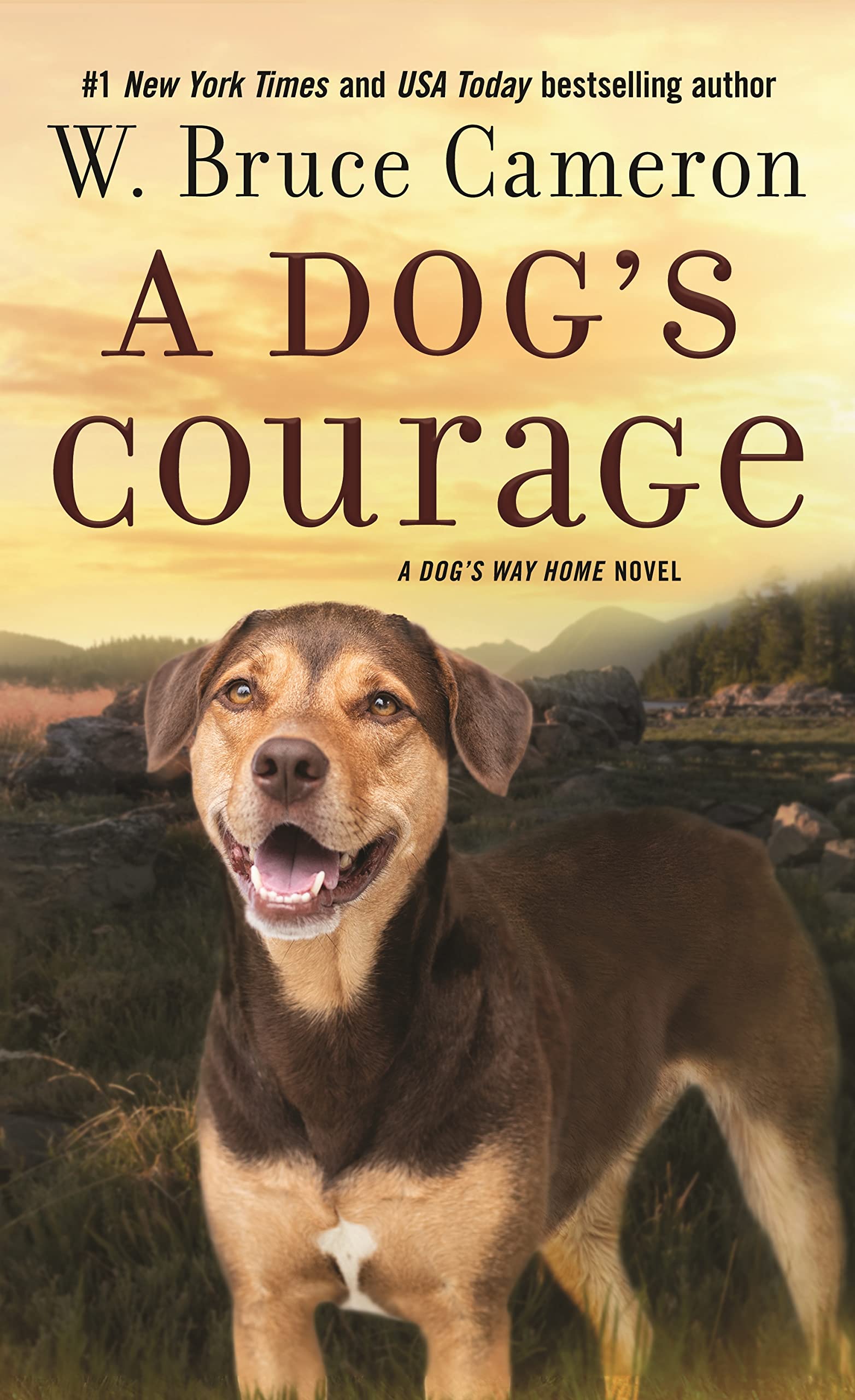 A Dog's Courage (Dog's Way Home, 2) Action & Adventure