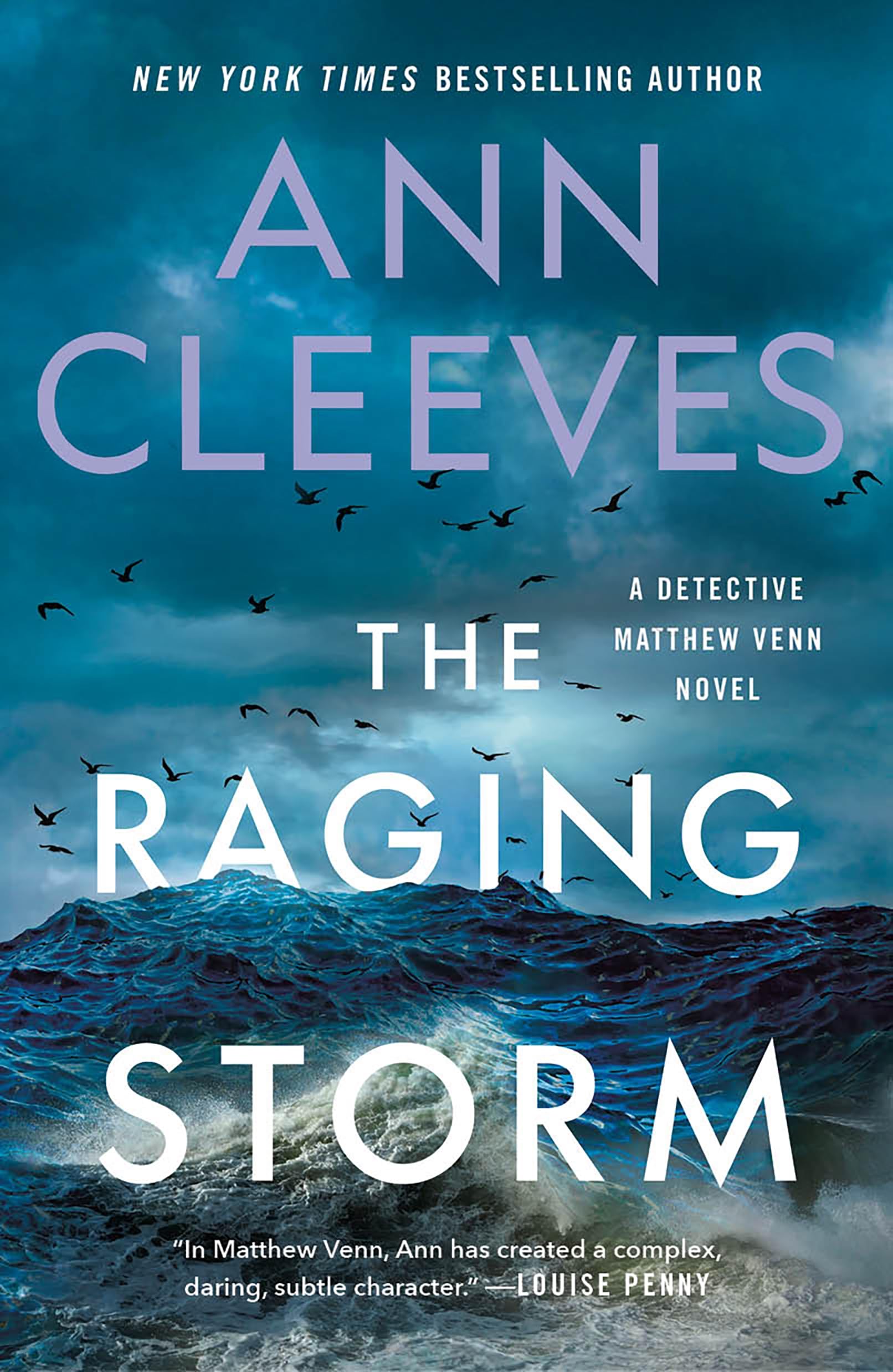 The Raging Storm Contemporary literature Books