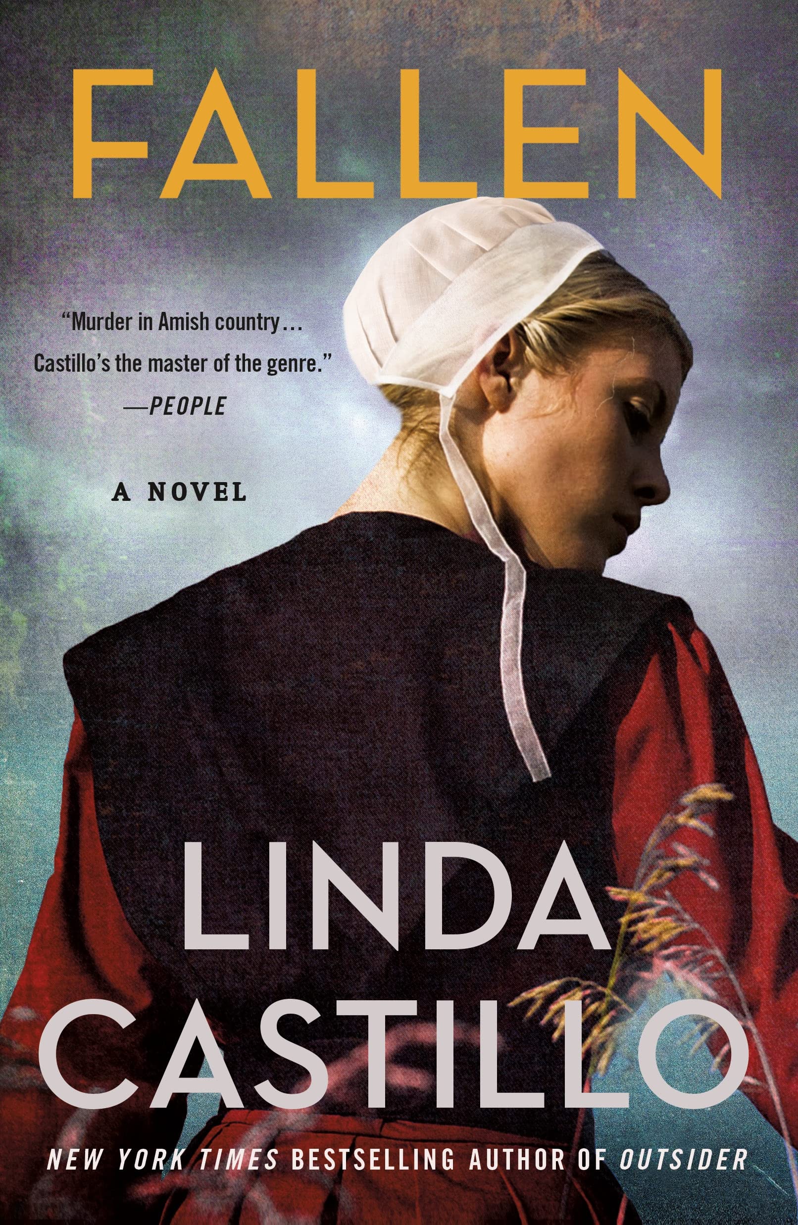 Fallen: A Novel of Suspense (The Kate Burkholder, 13) Contemporary literature
